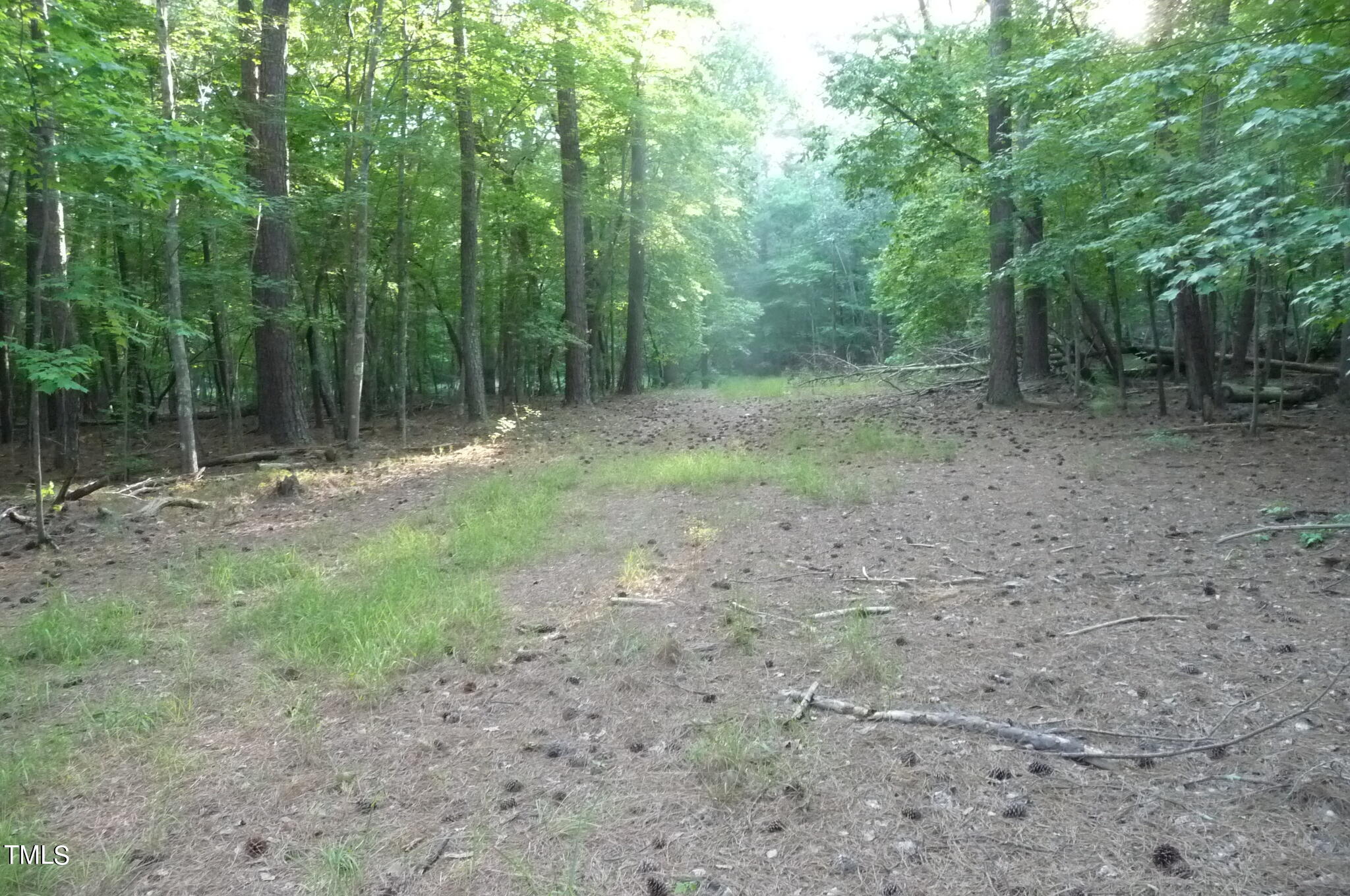 8095 Old Nc 86 Property Photo 5