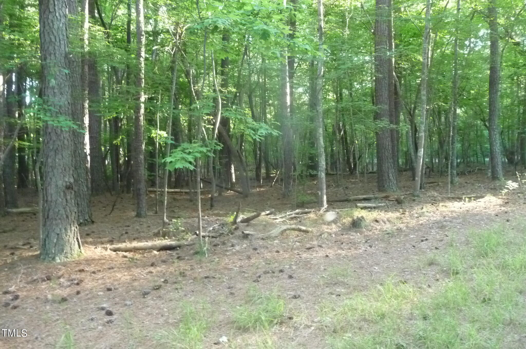 8095 Old Nc 86 Property Photo 6