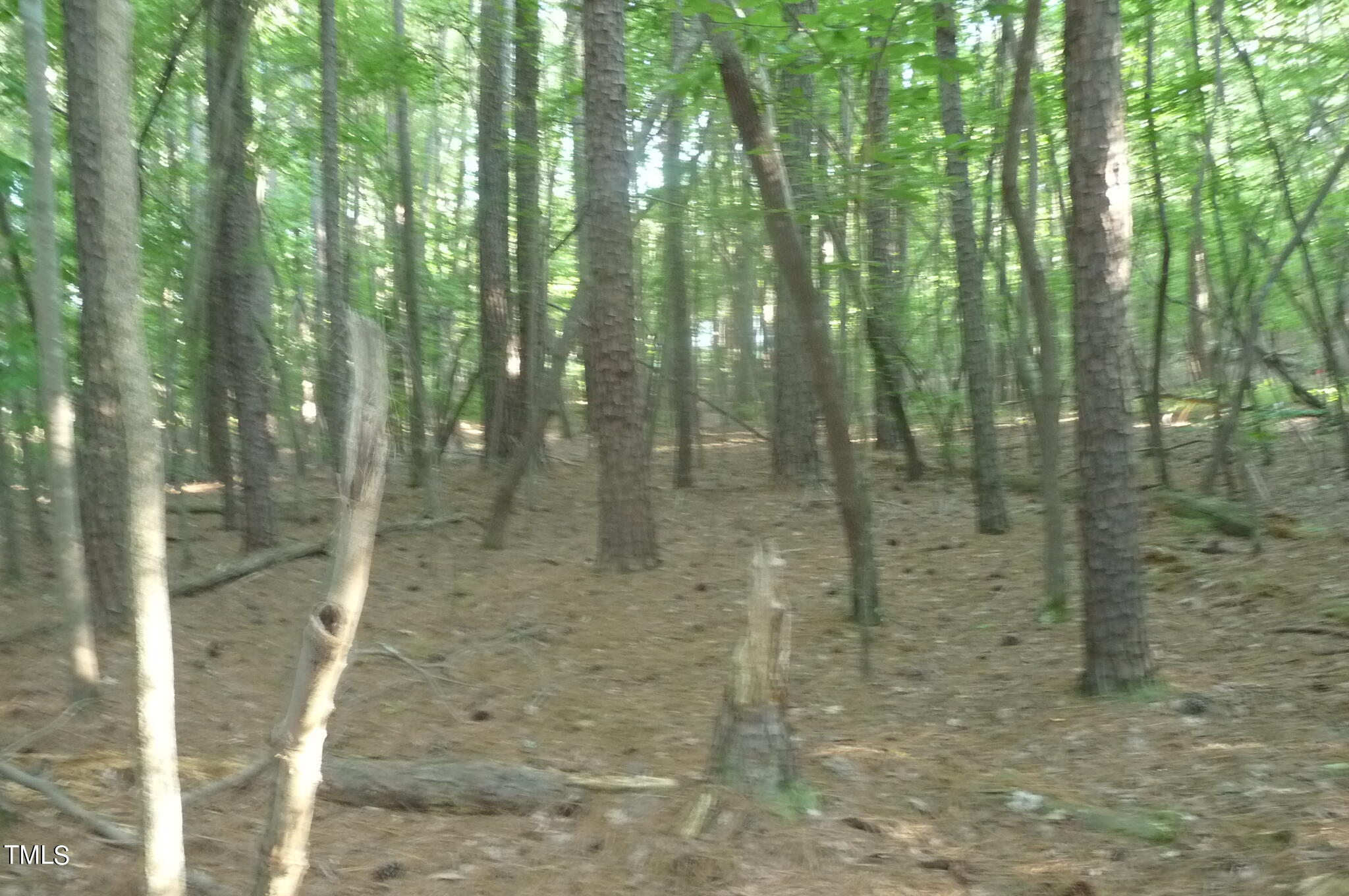8095 Old Nc 86 Property Photo 7