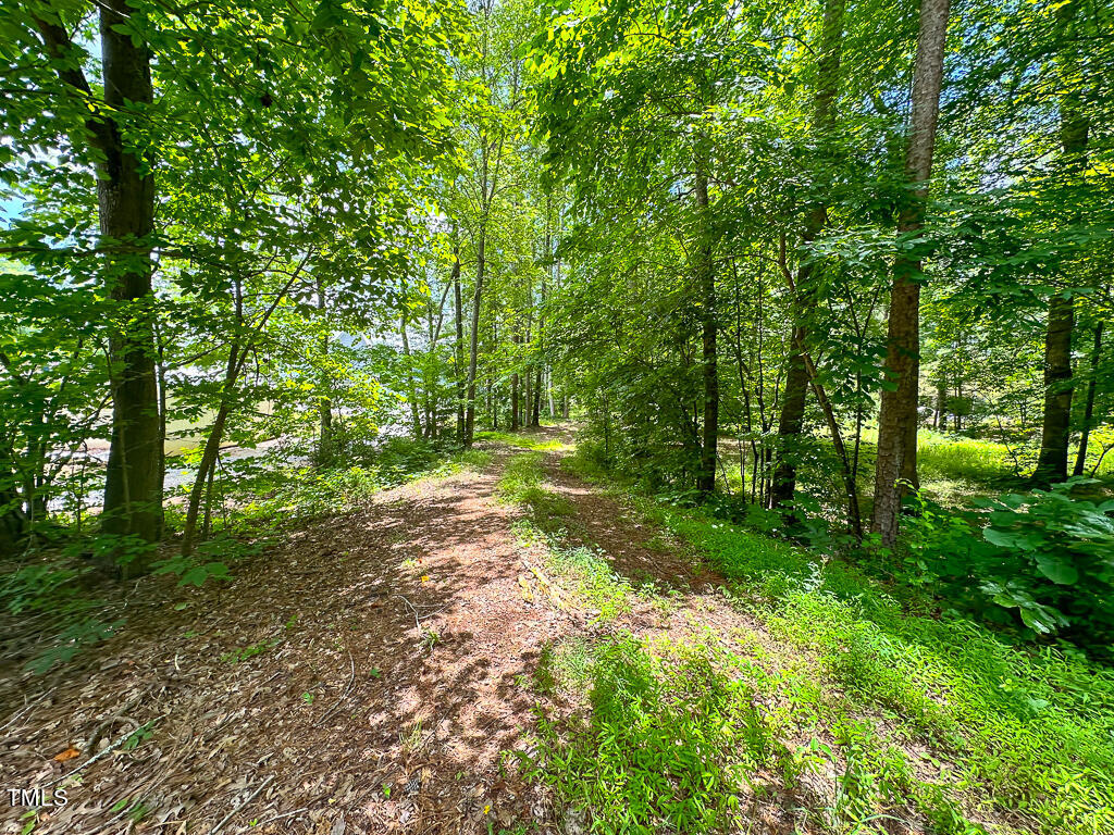 461/462 Greenbriar Road Property Photo 5