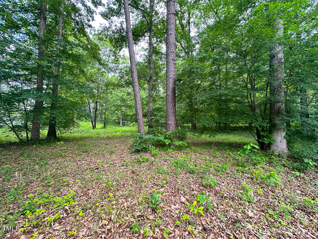 461/462 Greenbriar Road Property Photo 6