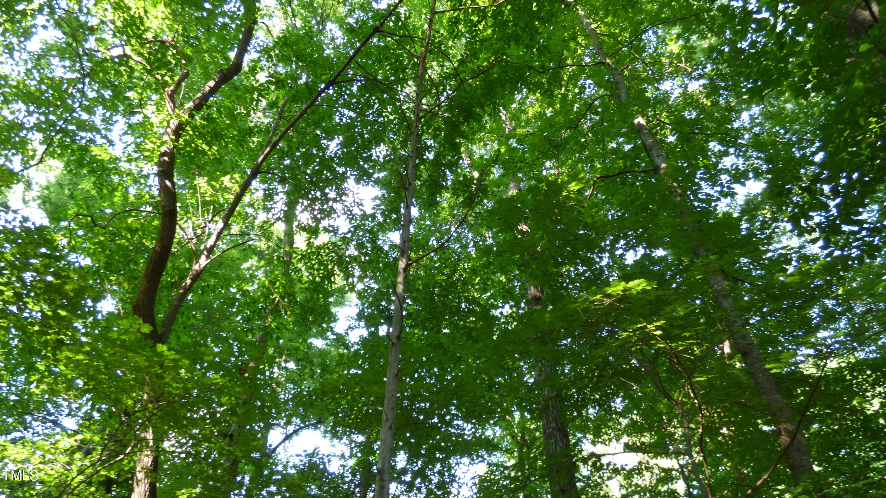 Lot 54 Forest Drive Property Photo 1