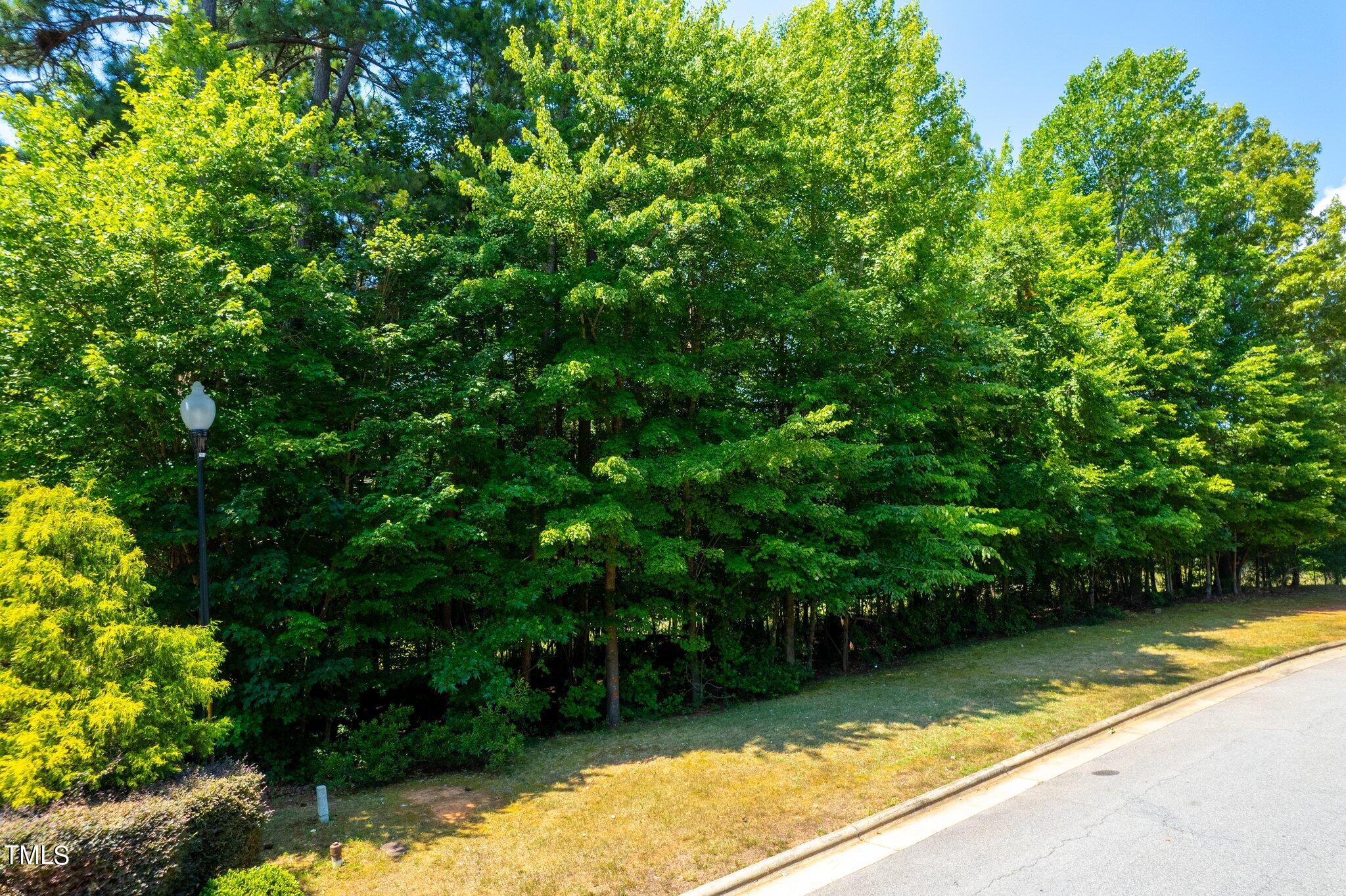 108 Eden Glen Drive Property Photo 3