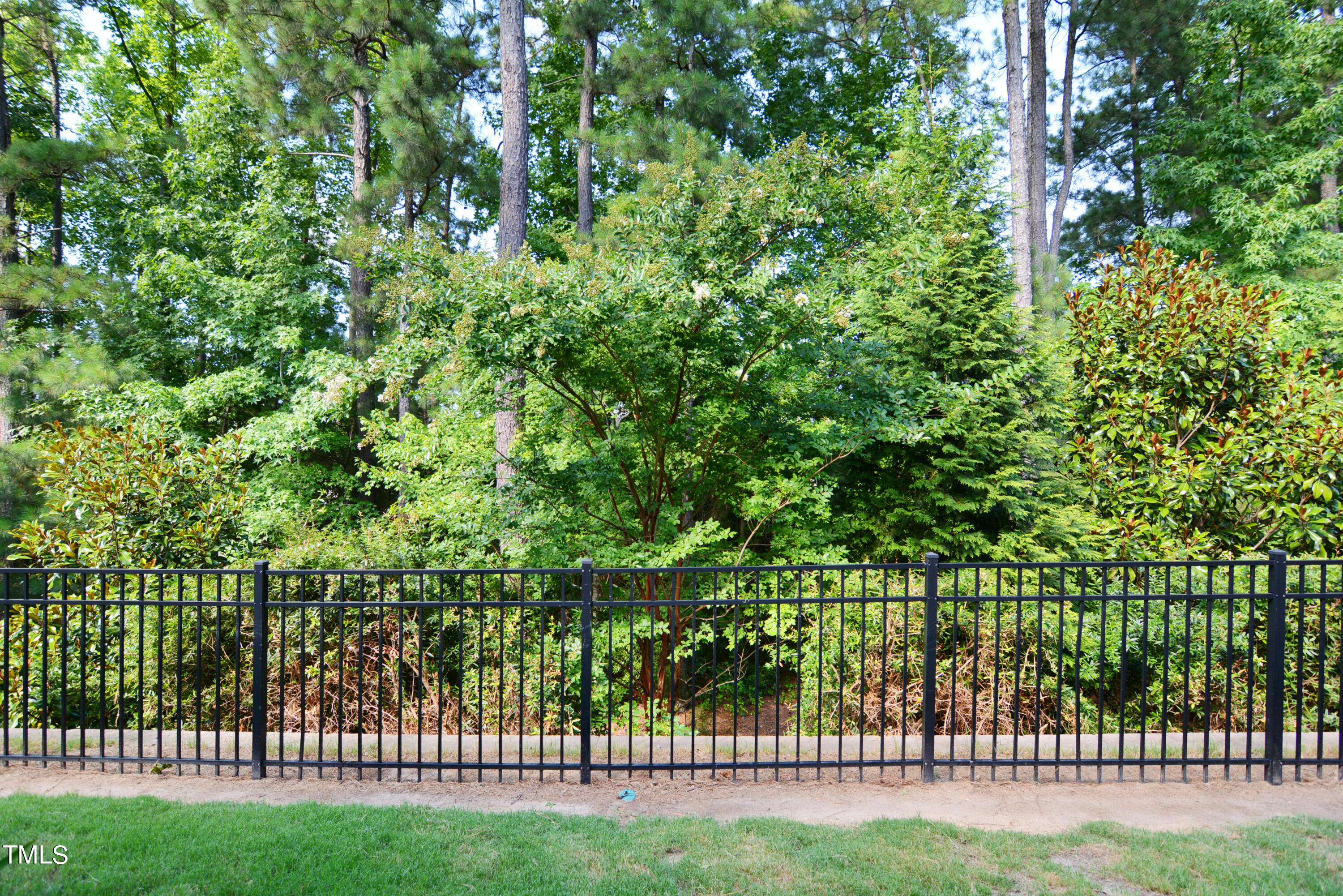 1167 Lookout Ridge Road Property Photo 22