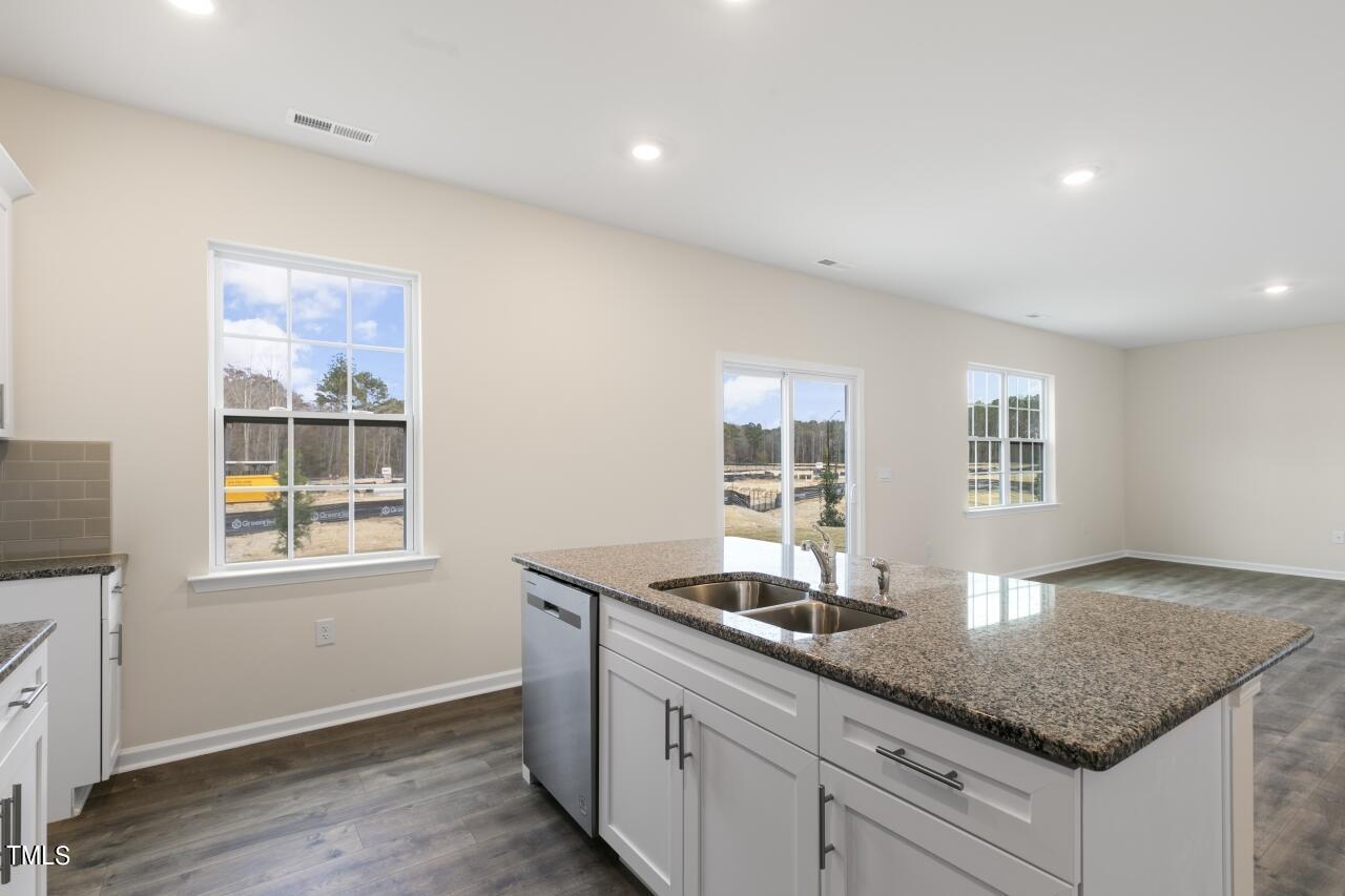1033 Leo Minor Lane Property Photo 15