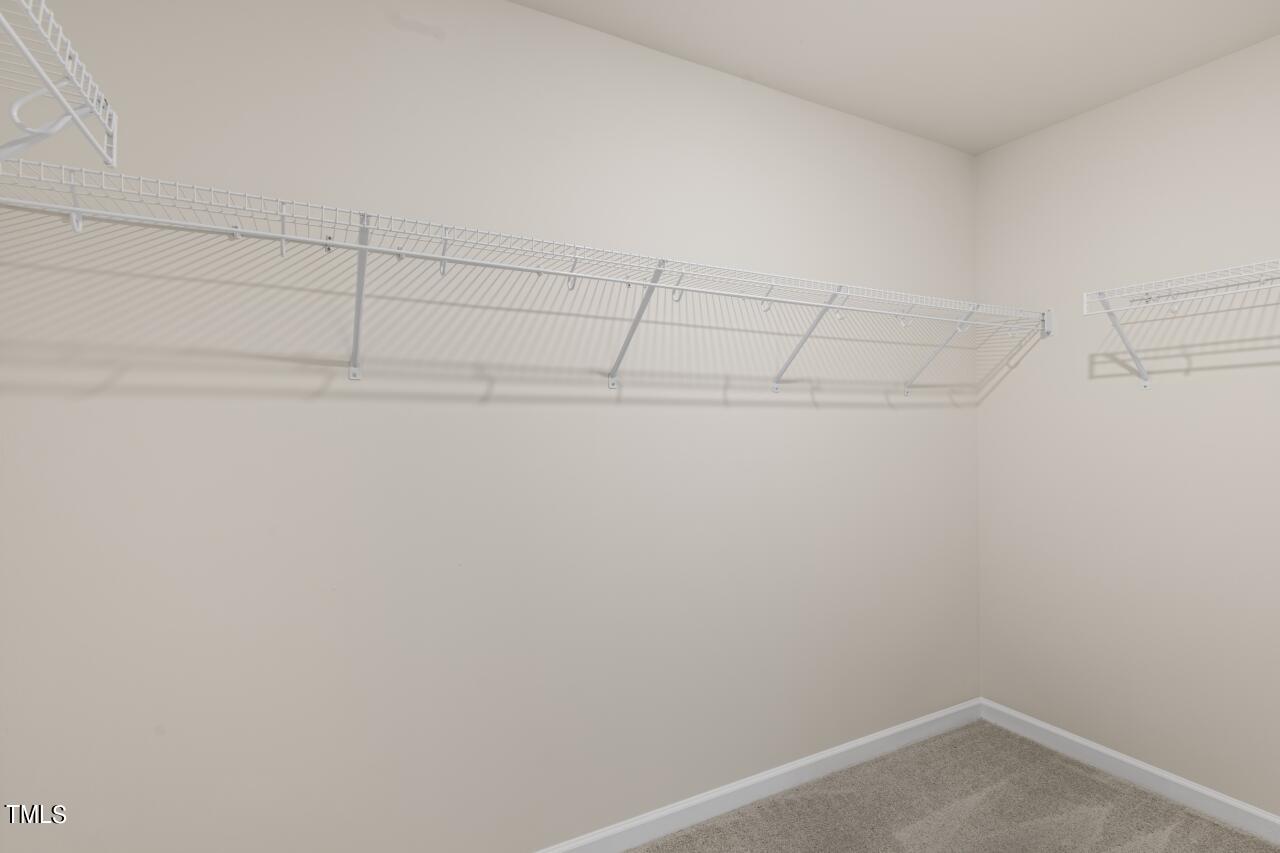 1033 Leo Minor Lane Property Photo 29