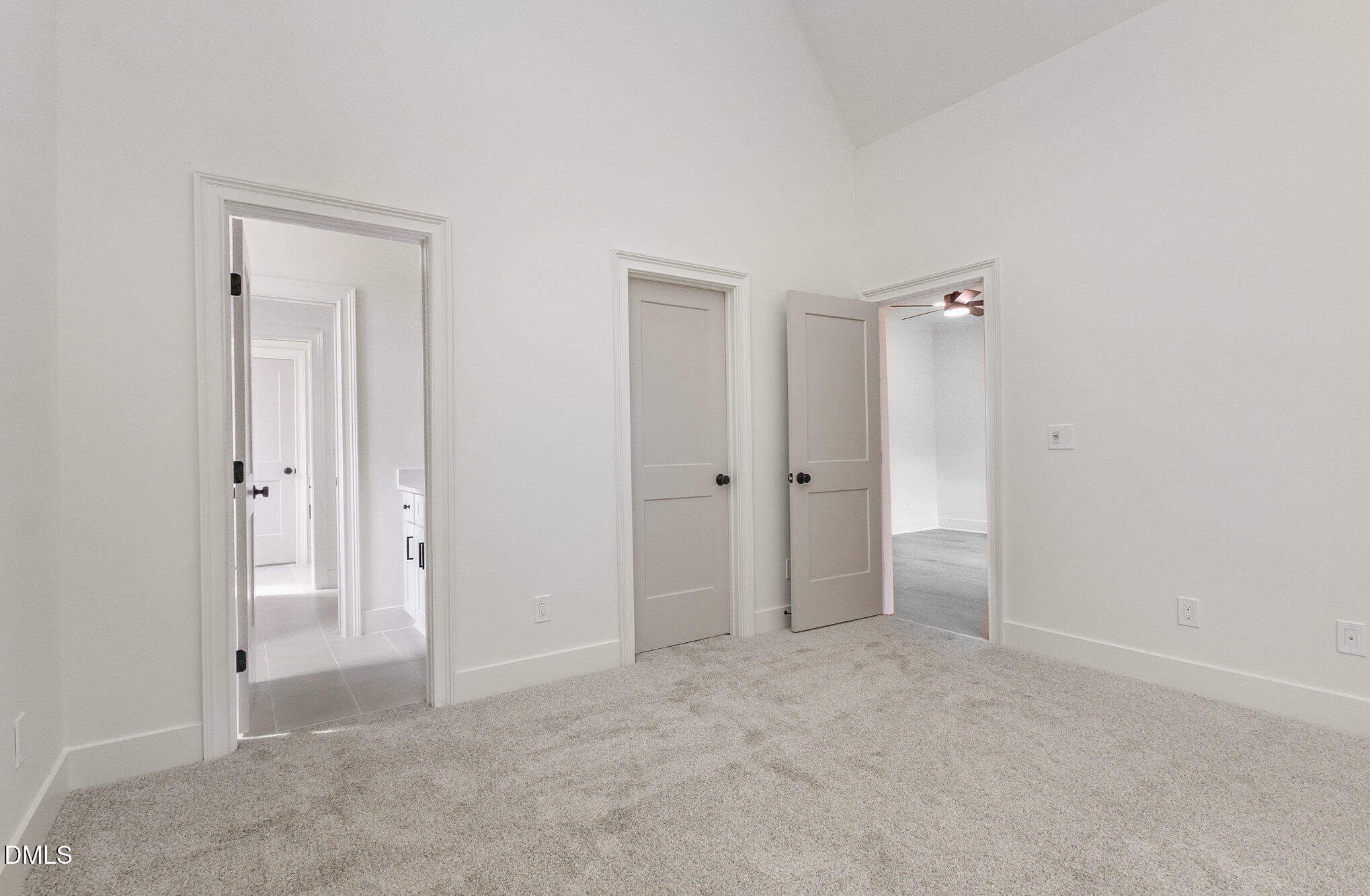 3709 Joyful Creek Trail Property Photo 52