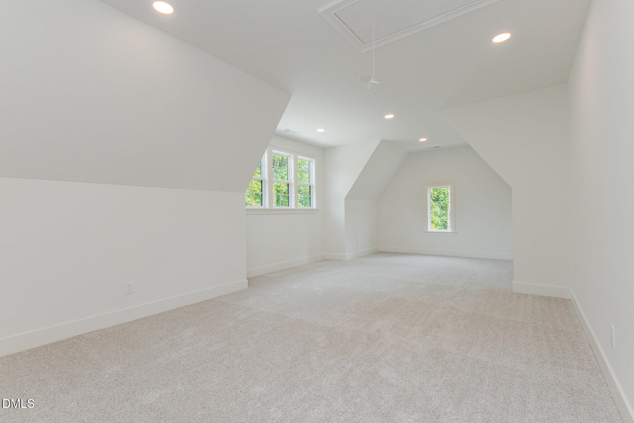 3709 Joyful Creek Trail Property Photo 57