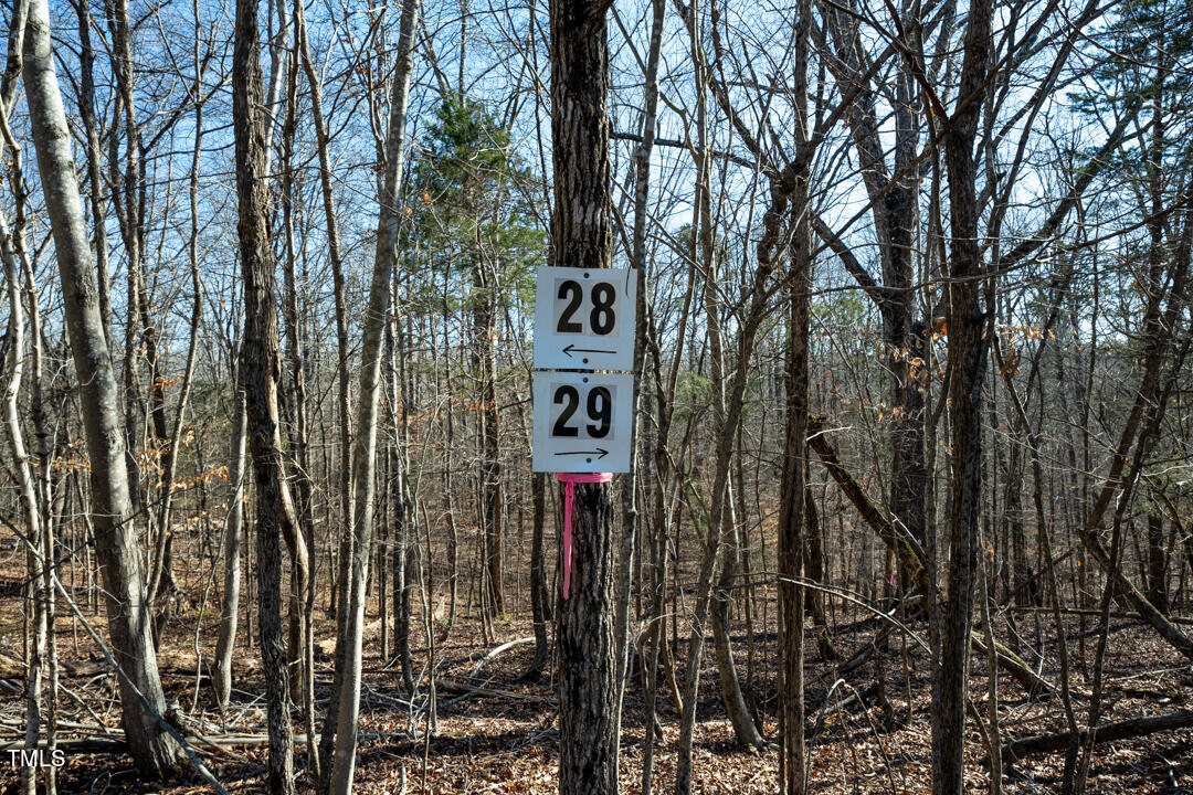 0 Summer Oak Drive Property Photo 2