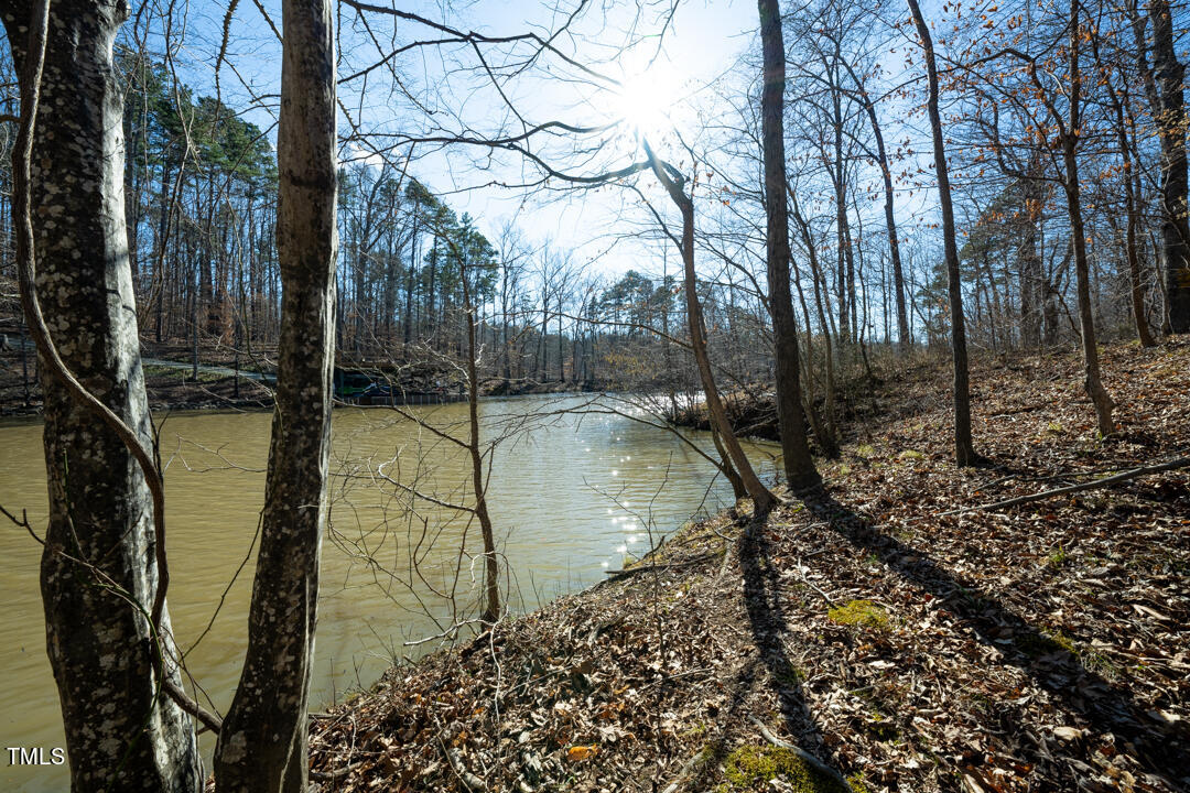 0 Summer Oak Drive Property Photo 3