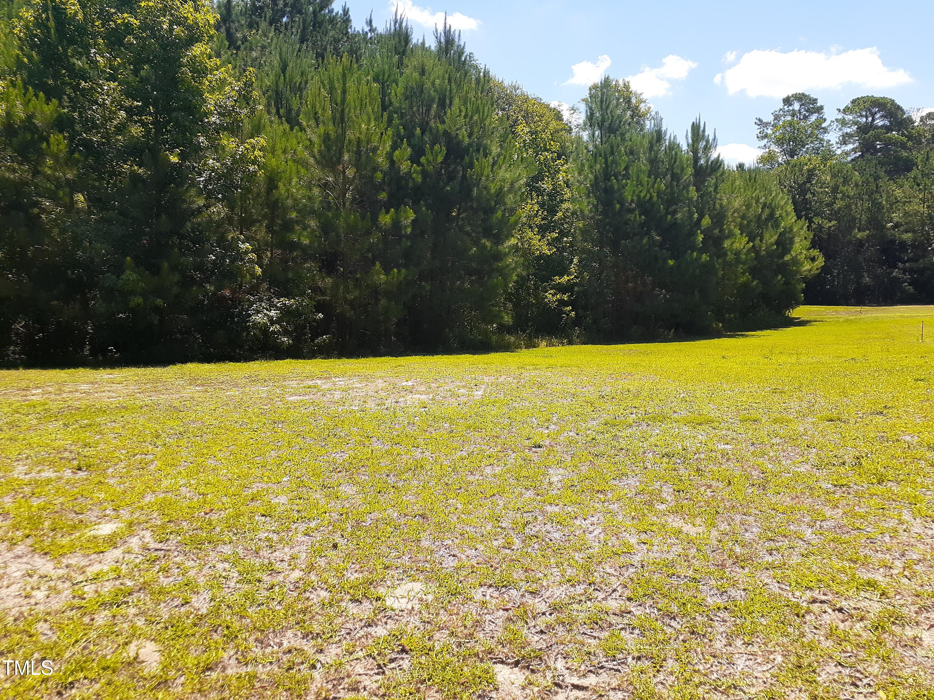205 Springside Drive Property Photo 2