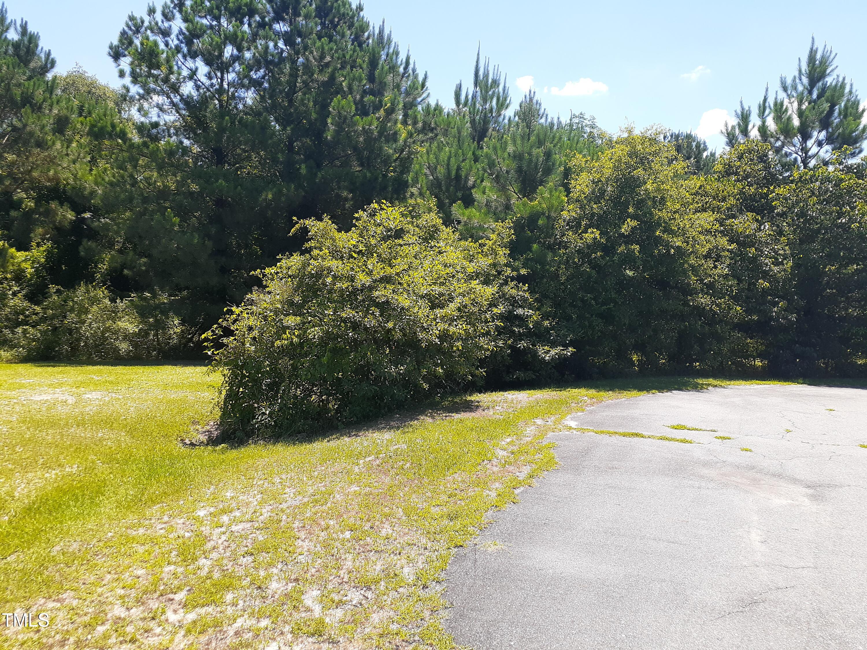 205 Springside Drive Property Photo 3