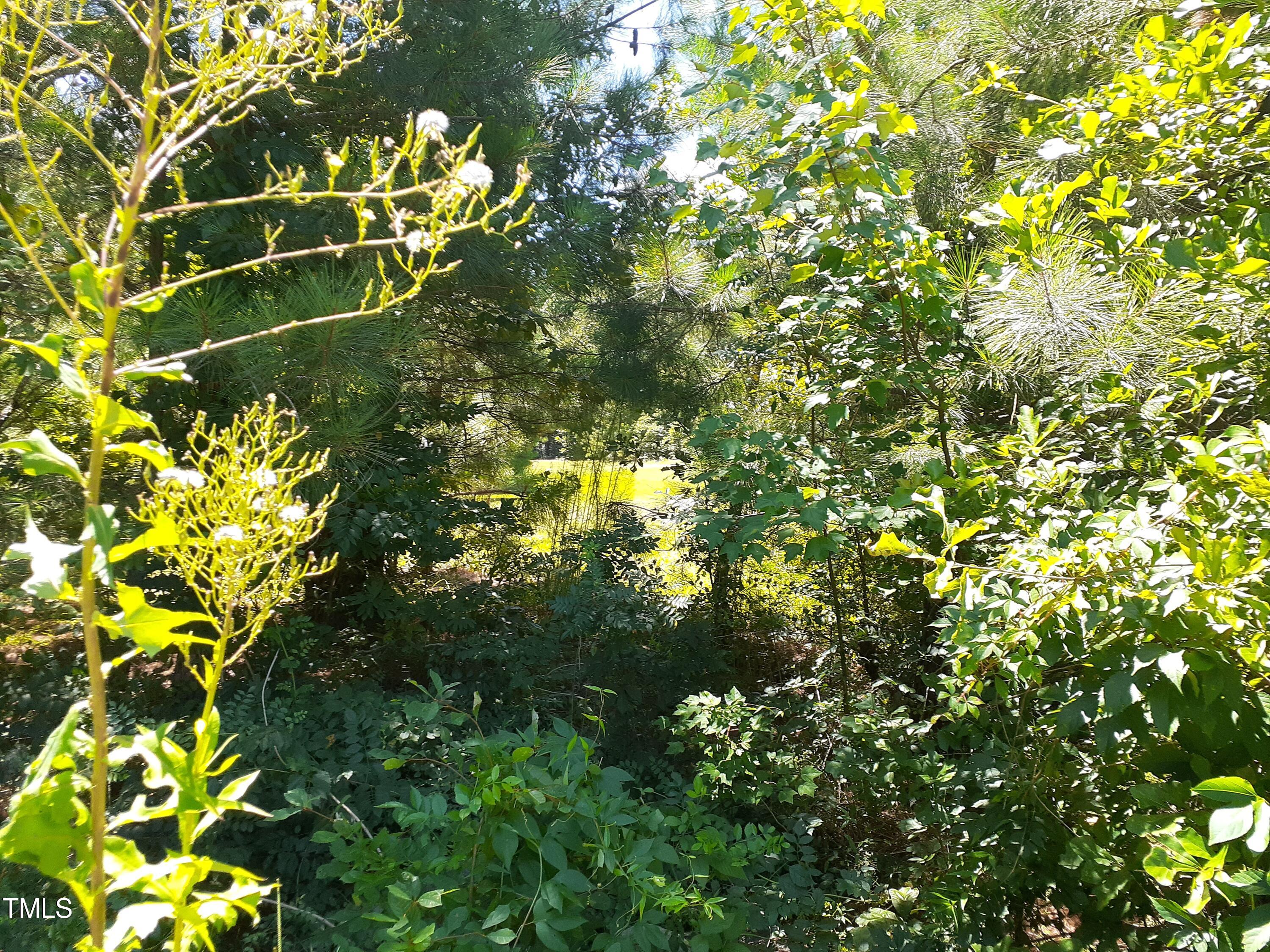 205 Springside Drive Property Photo 4