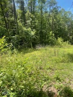 738 Dick Street Property Photo