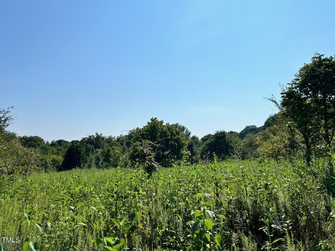 Tbd Bowers Store Road Property Photo 2