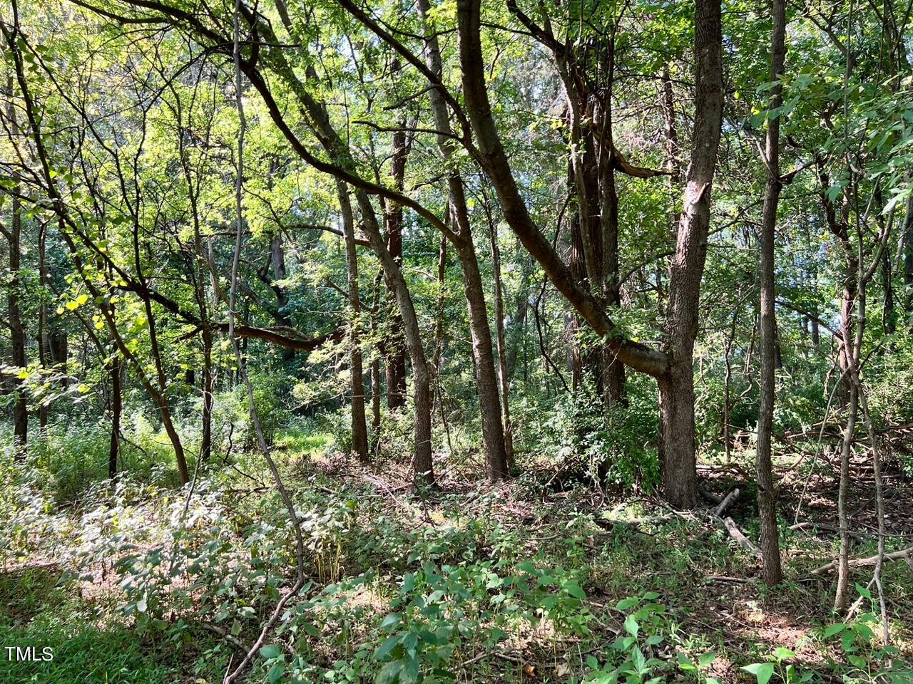 Tbd Bowers Store Road Property Photo 6