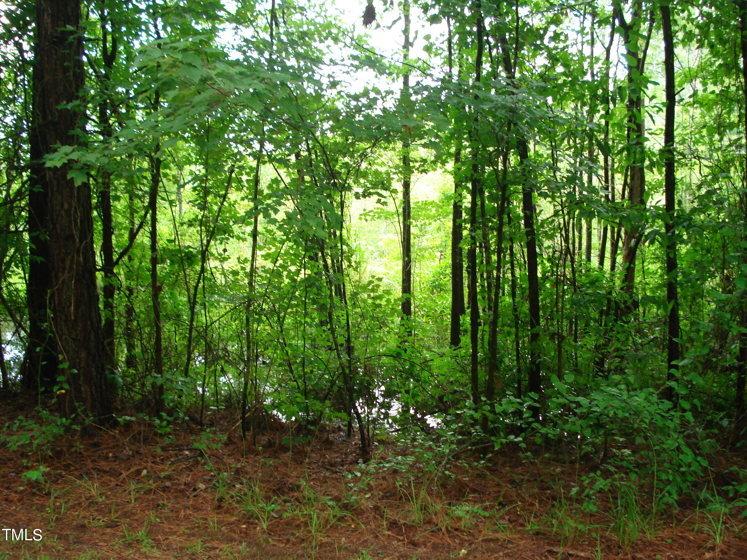 4160 Us 301 S Property Photo 40