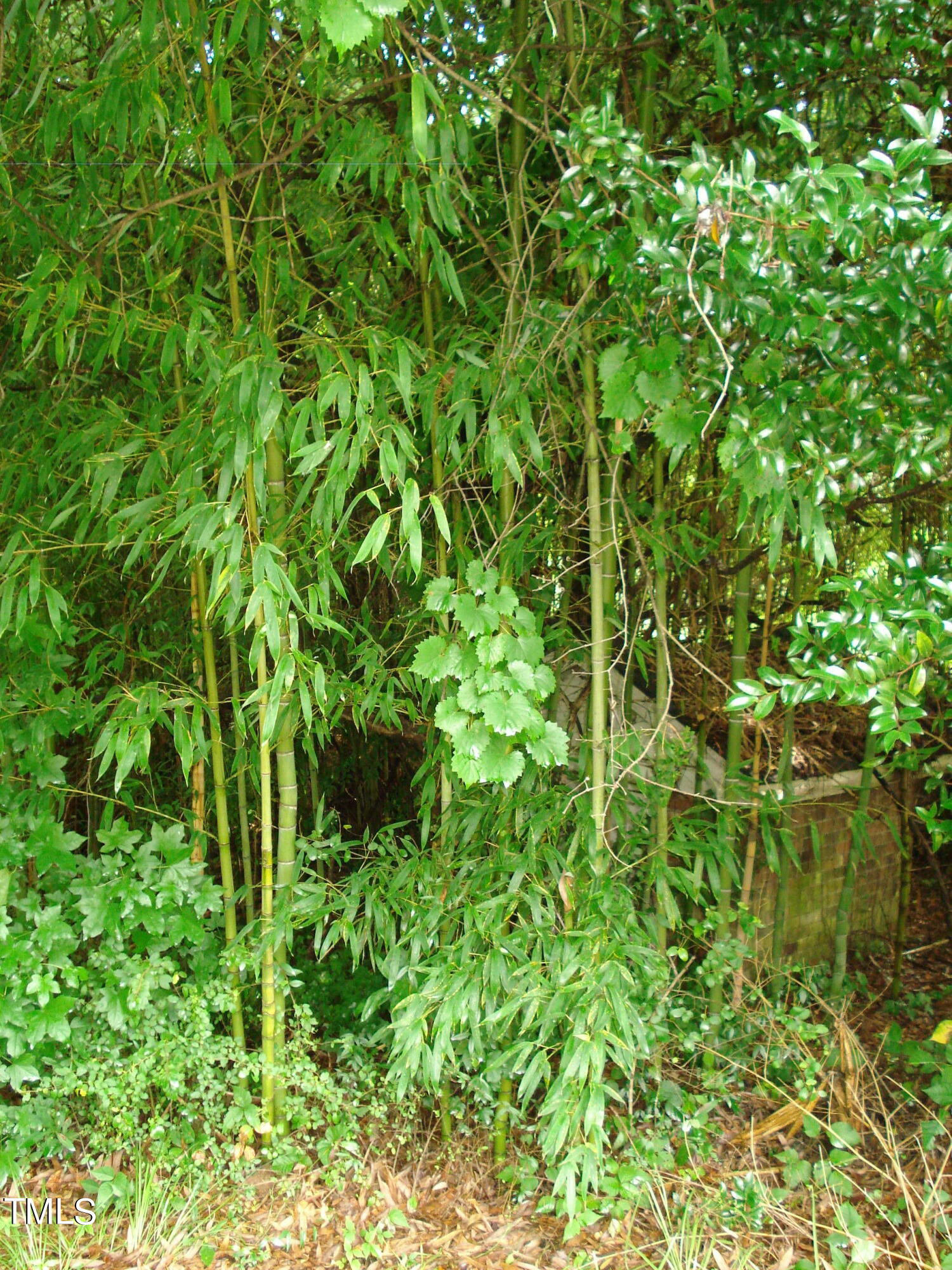 4160 Us 301 S Property Photo 42