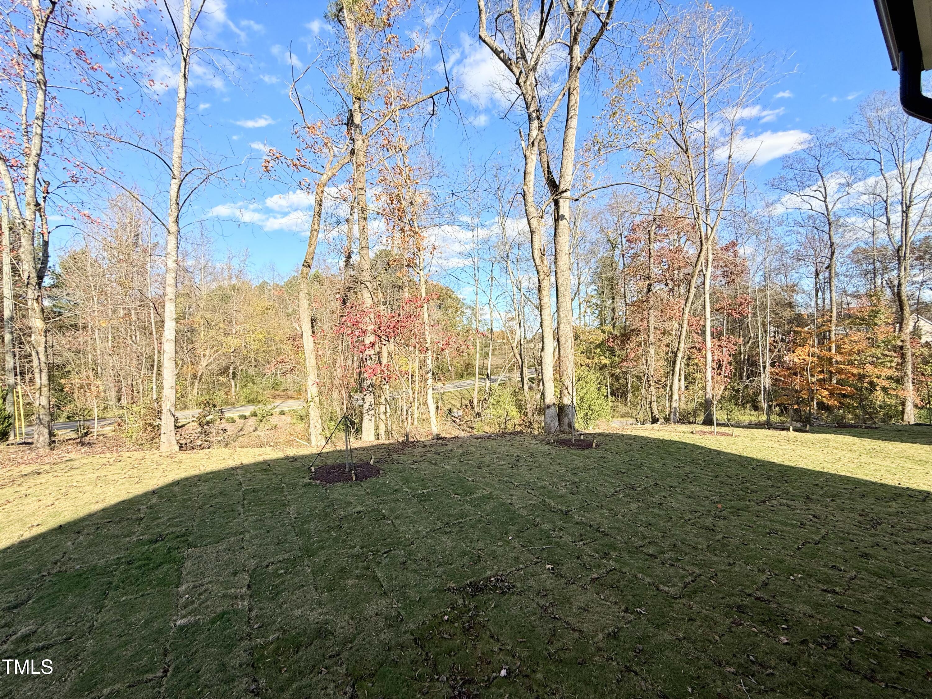 405 Jones Bluff Way Property Photo 11