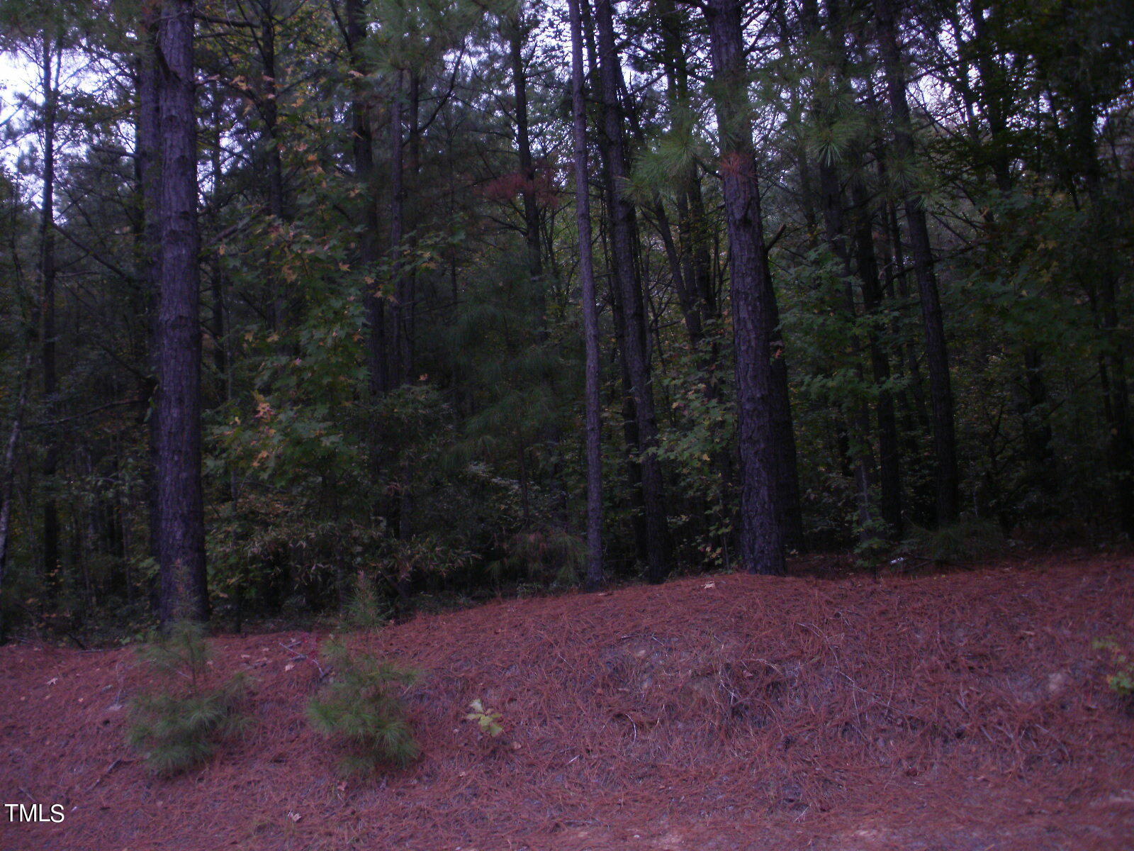 20 Pine State Street Property Photo 1