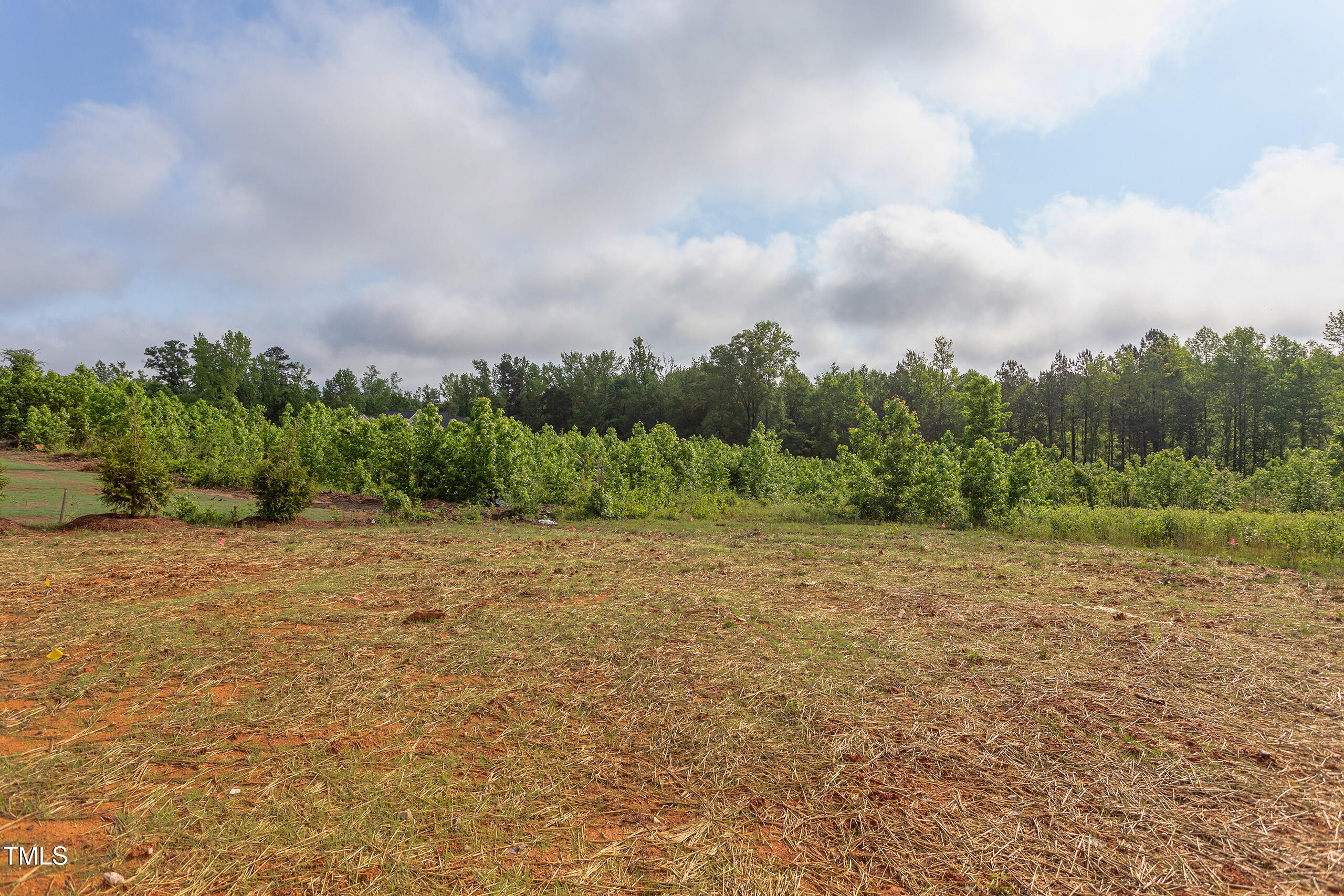 55 Harvest View Way Property Photo 69