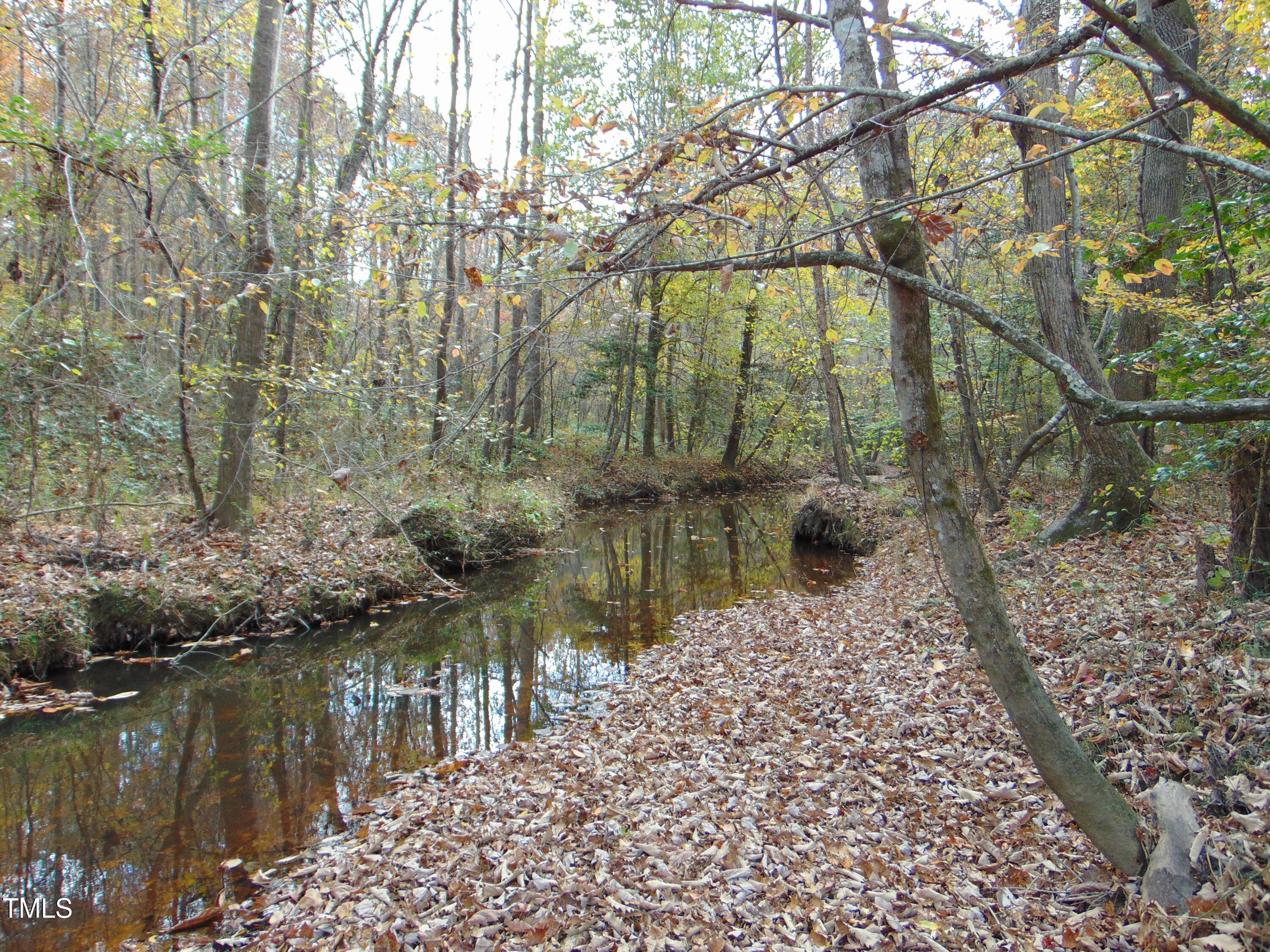 000 Big Woods Rd. Property Photo 1