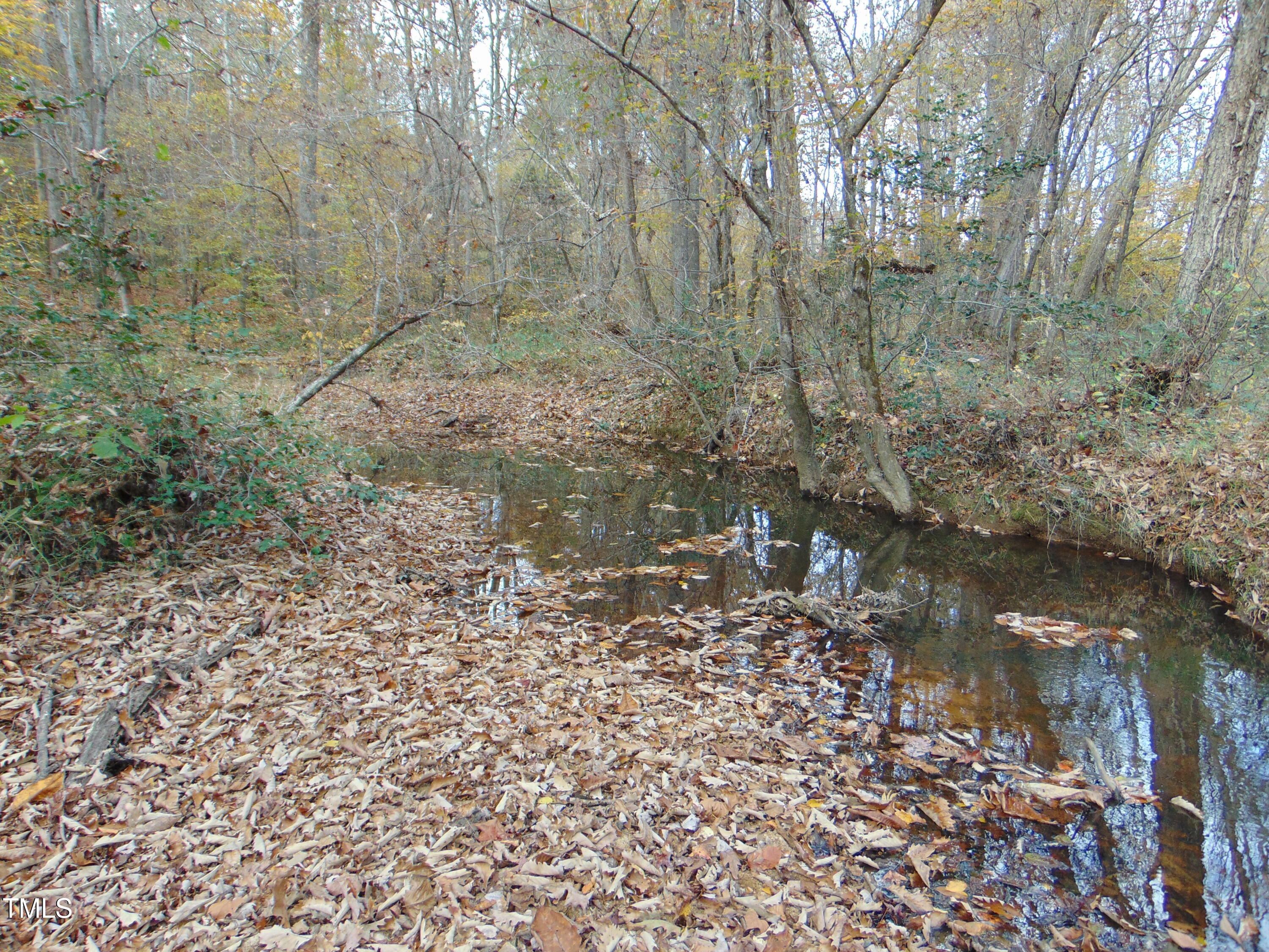 000 Big Woods Rd. Property Photo 2