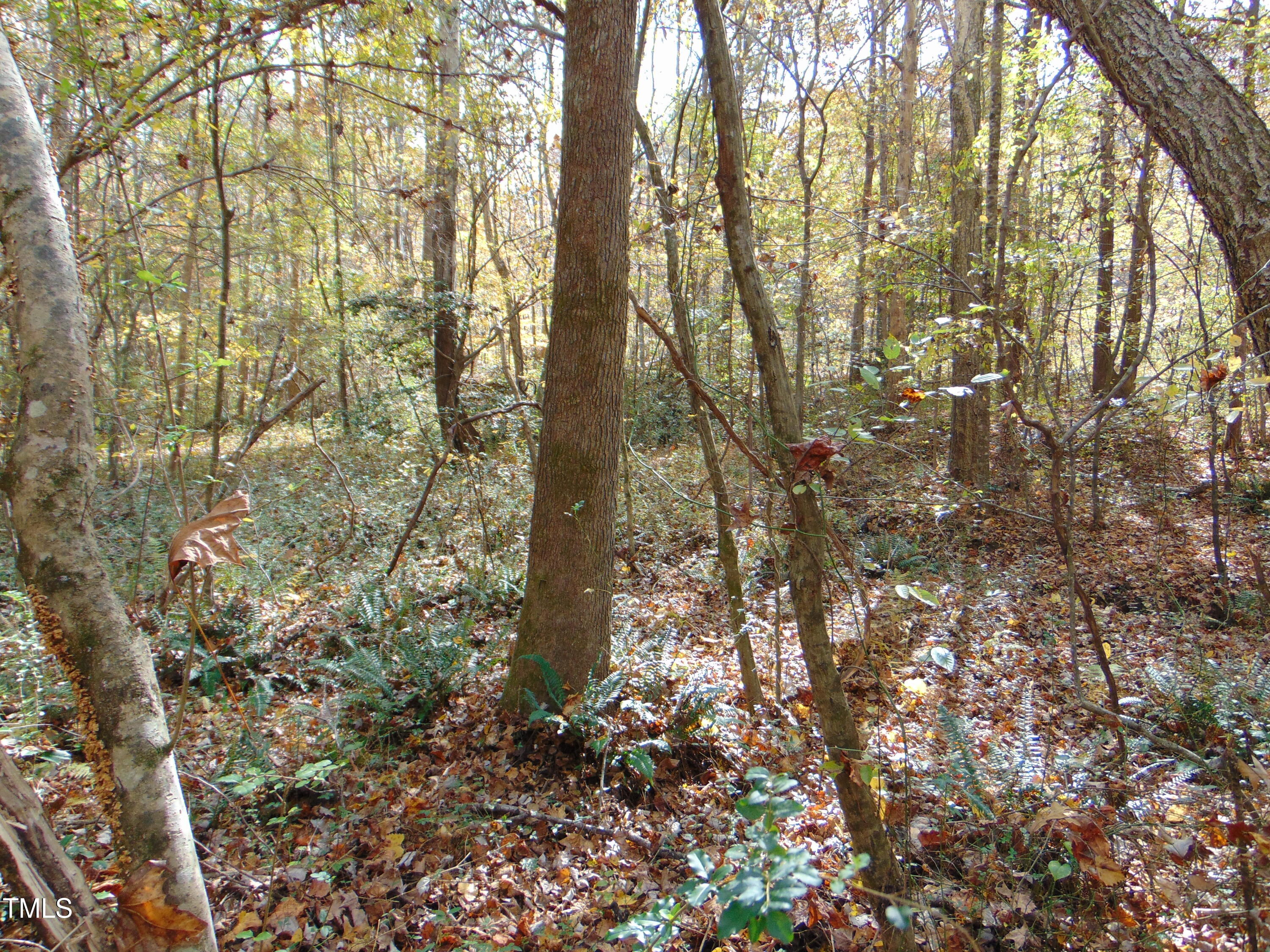 000 Big Woods Rd. Property Photo 3