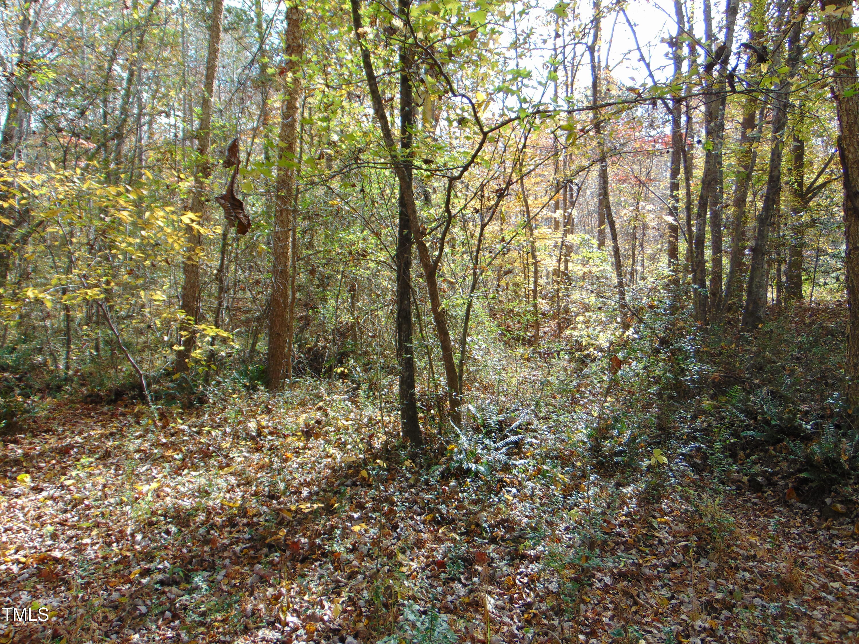 000 Big Woods Rd. Property Photo 8