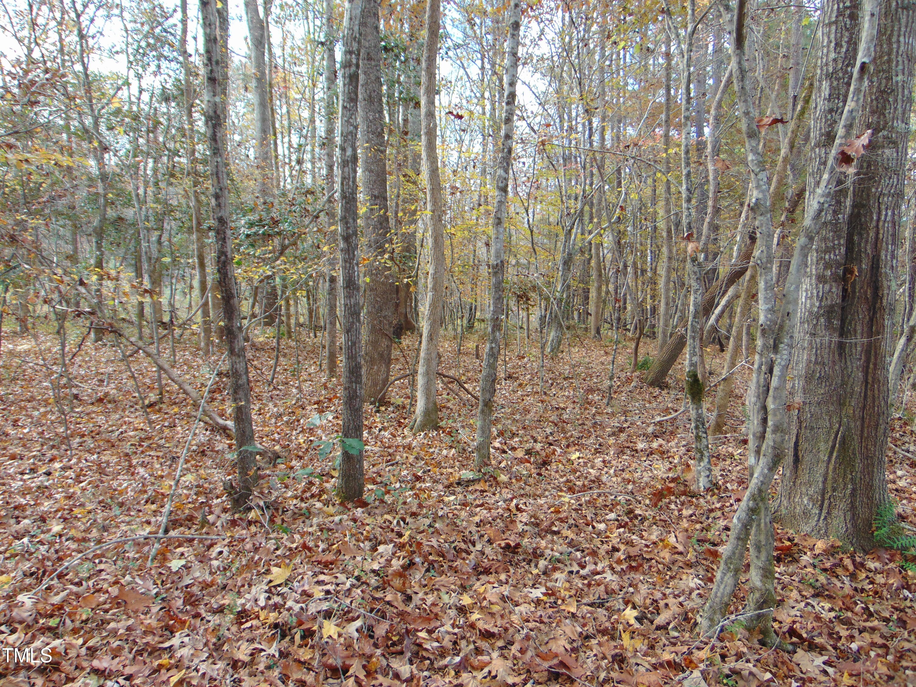 000 Big Woods Rd. Property Photo 9