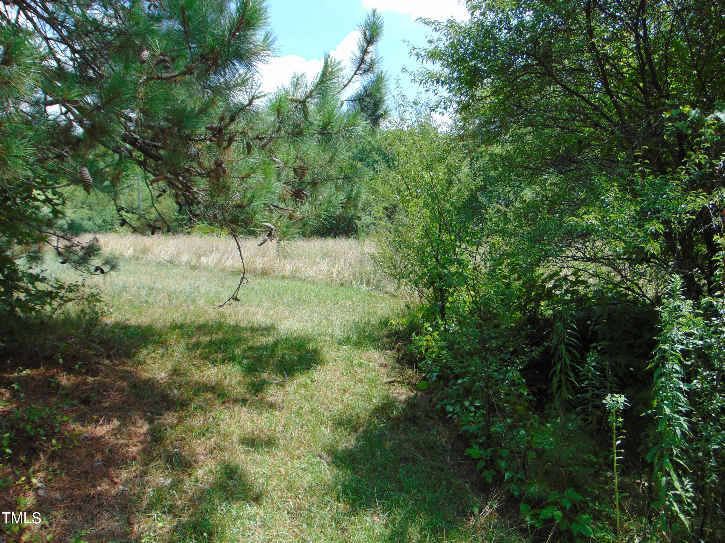 000 Big Woods Rd. Property Photo 18