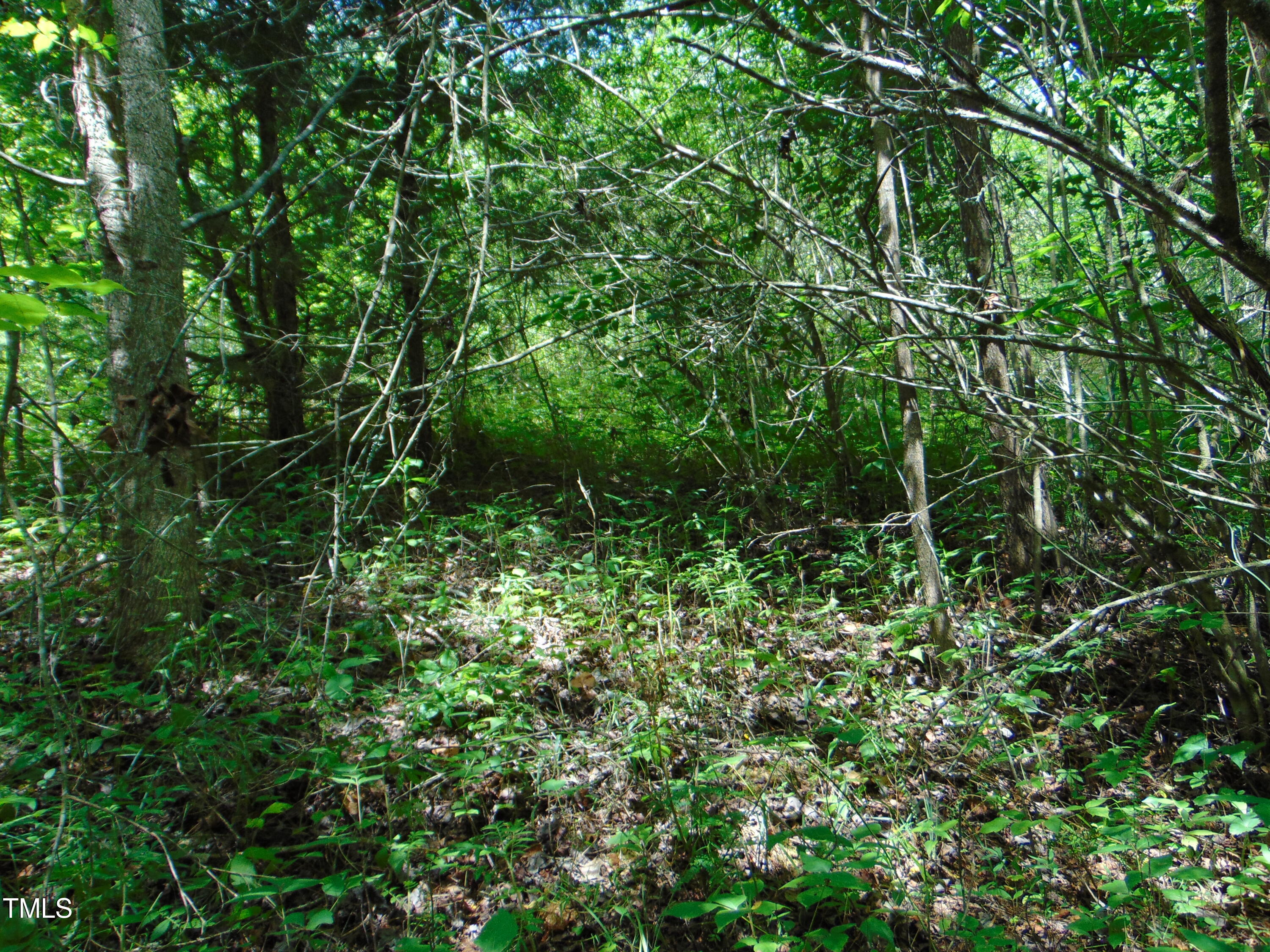 000 Big Woods Rd. Property Photo 20