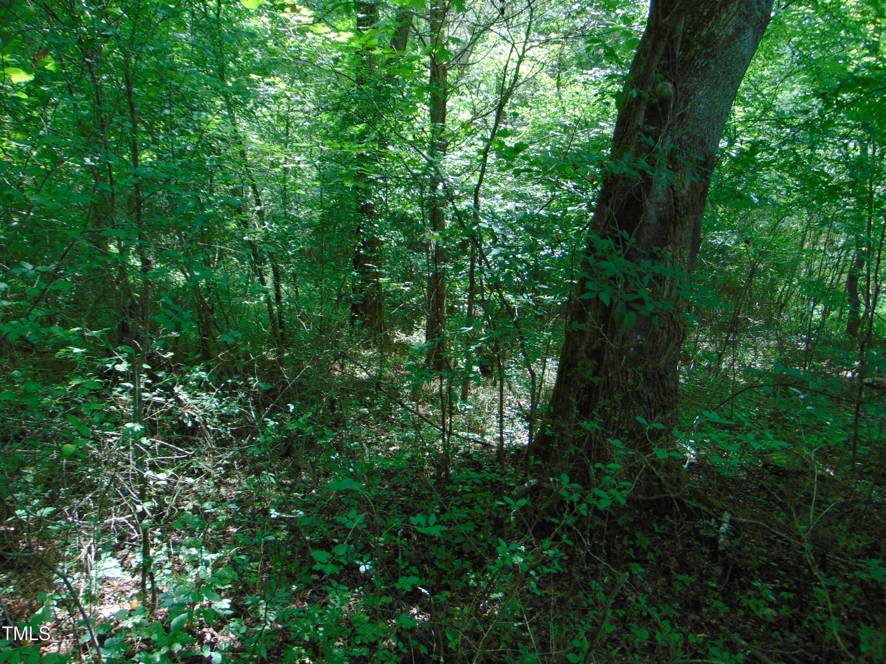 000 Big Woods Rd. Property Photo 21