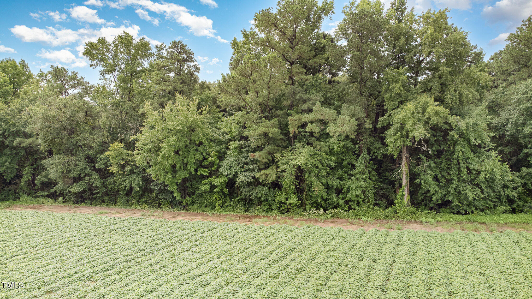 01 Hodges Chapel Road Property Photo 13