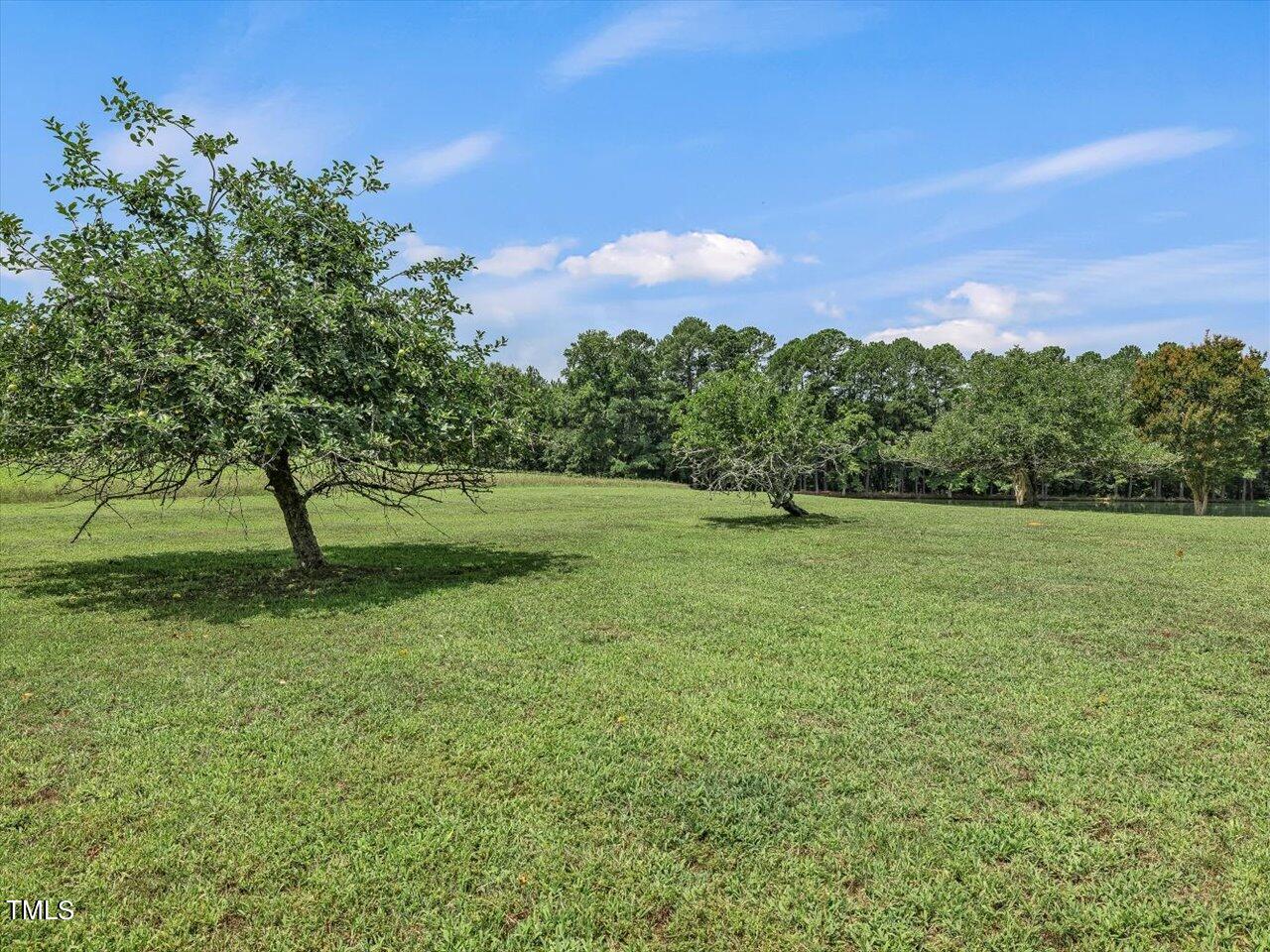 557 Olives Chapel Road Property Photo 39