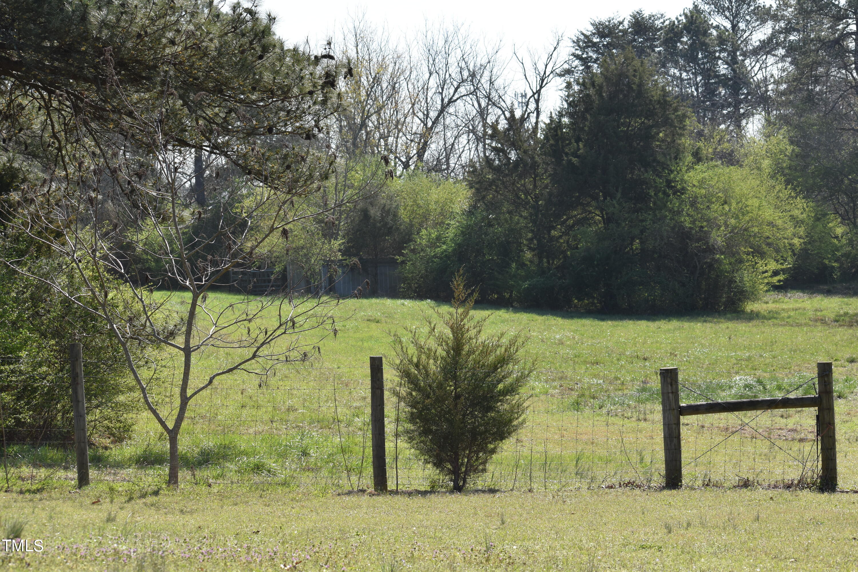 4333 Guy Road Road Property Photo 5