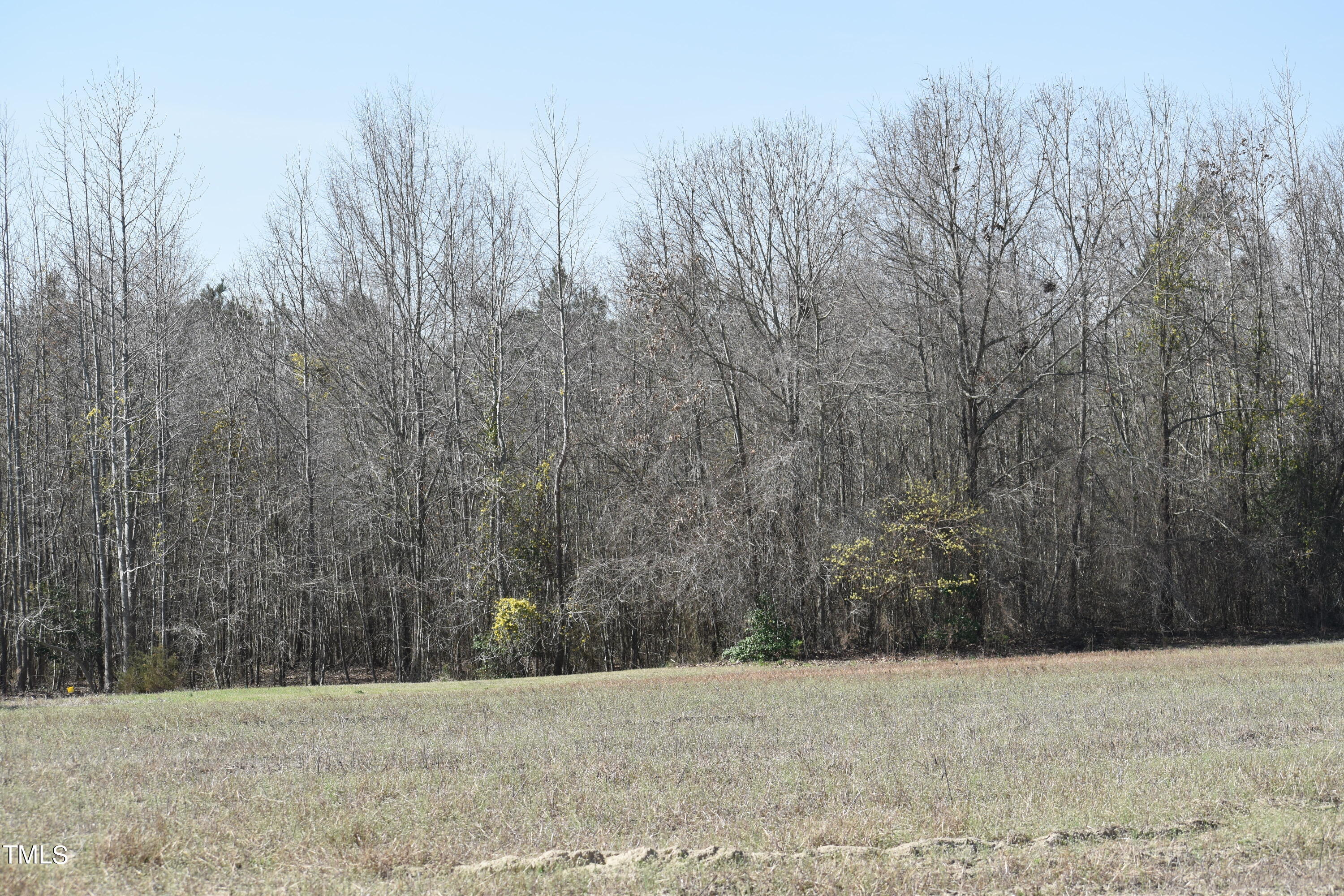 4333 Guy Road Road Property Photo 10