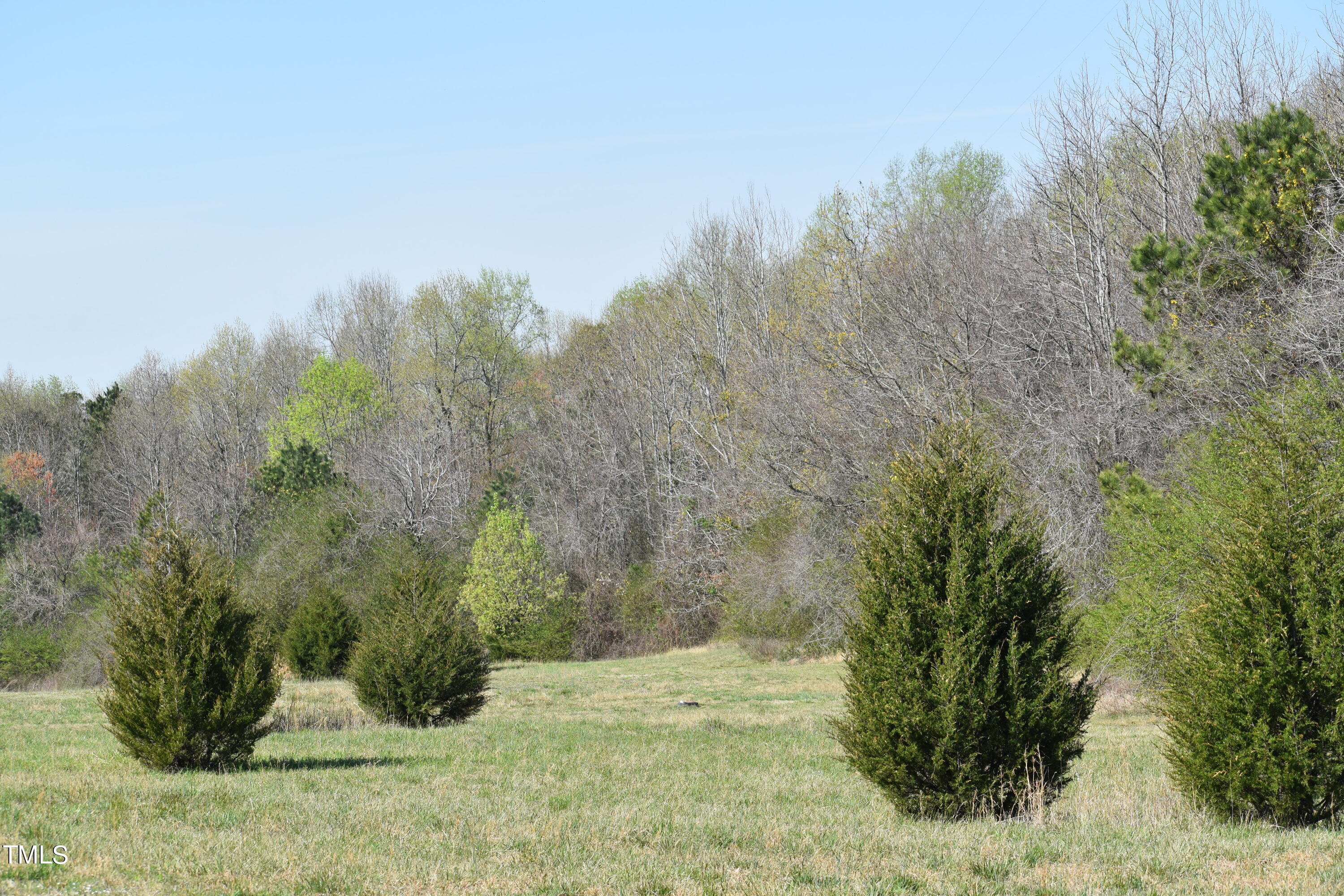 4333 Guy Road Road Property Photo 13