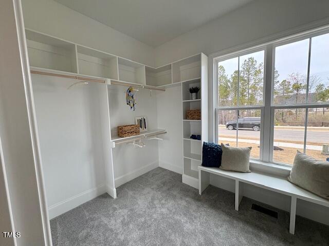 165 Inspiration Way Property Photo 22