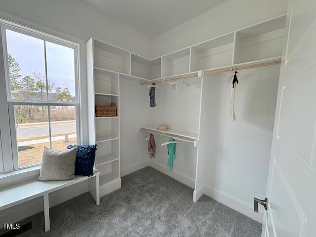 165 Inspiration Way Property Photo 23
