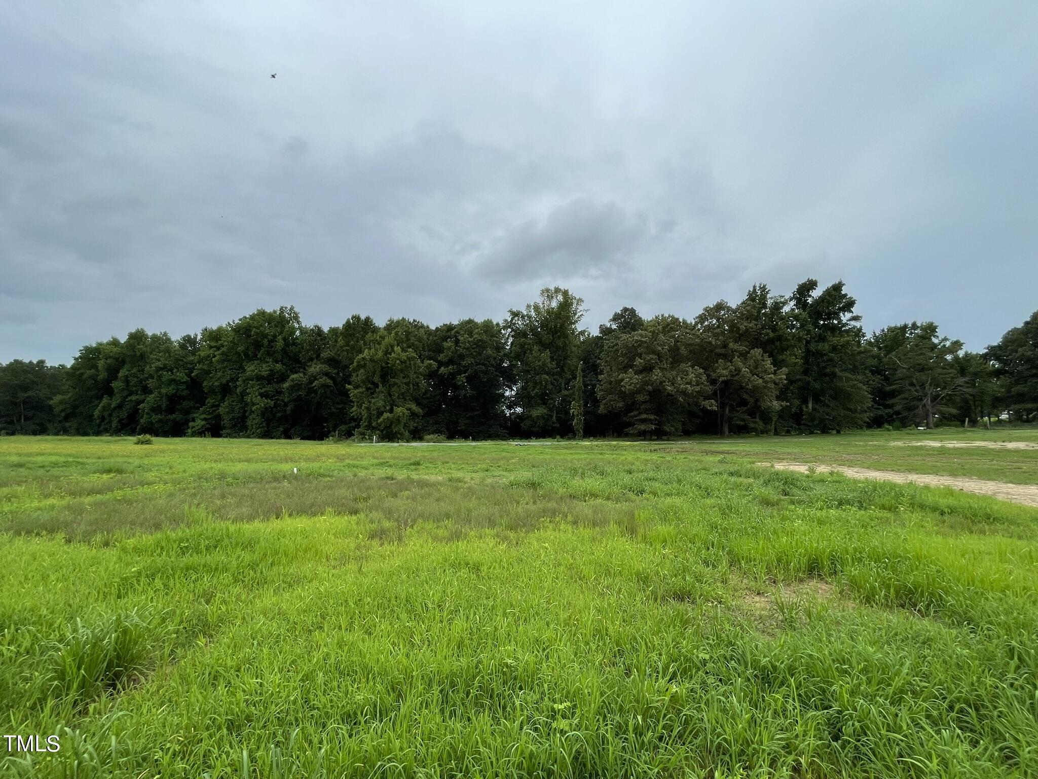 240 Lotus Avenue Property Photo 19