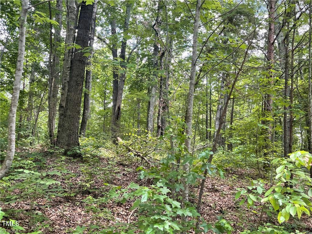 17 Old Mill Road Property Photo