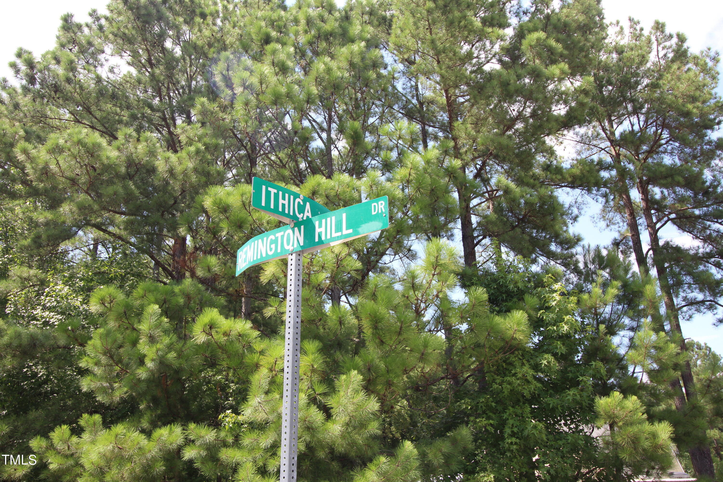 14 Remington Hill Drive Property Photo 4