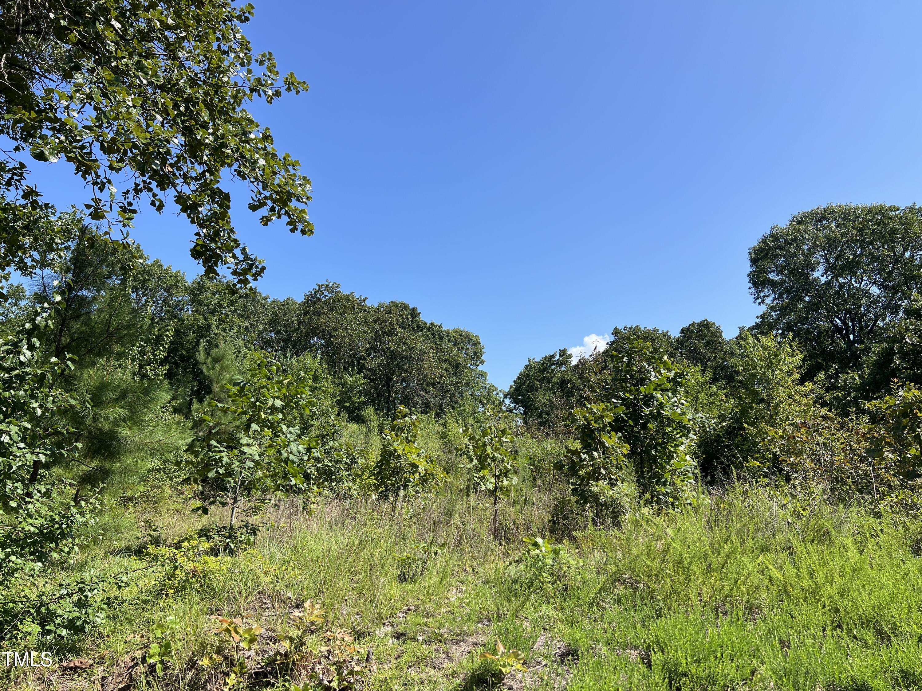 8 D L Phillips Lane Property Photo 1