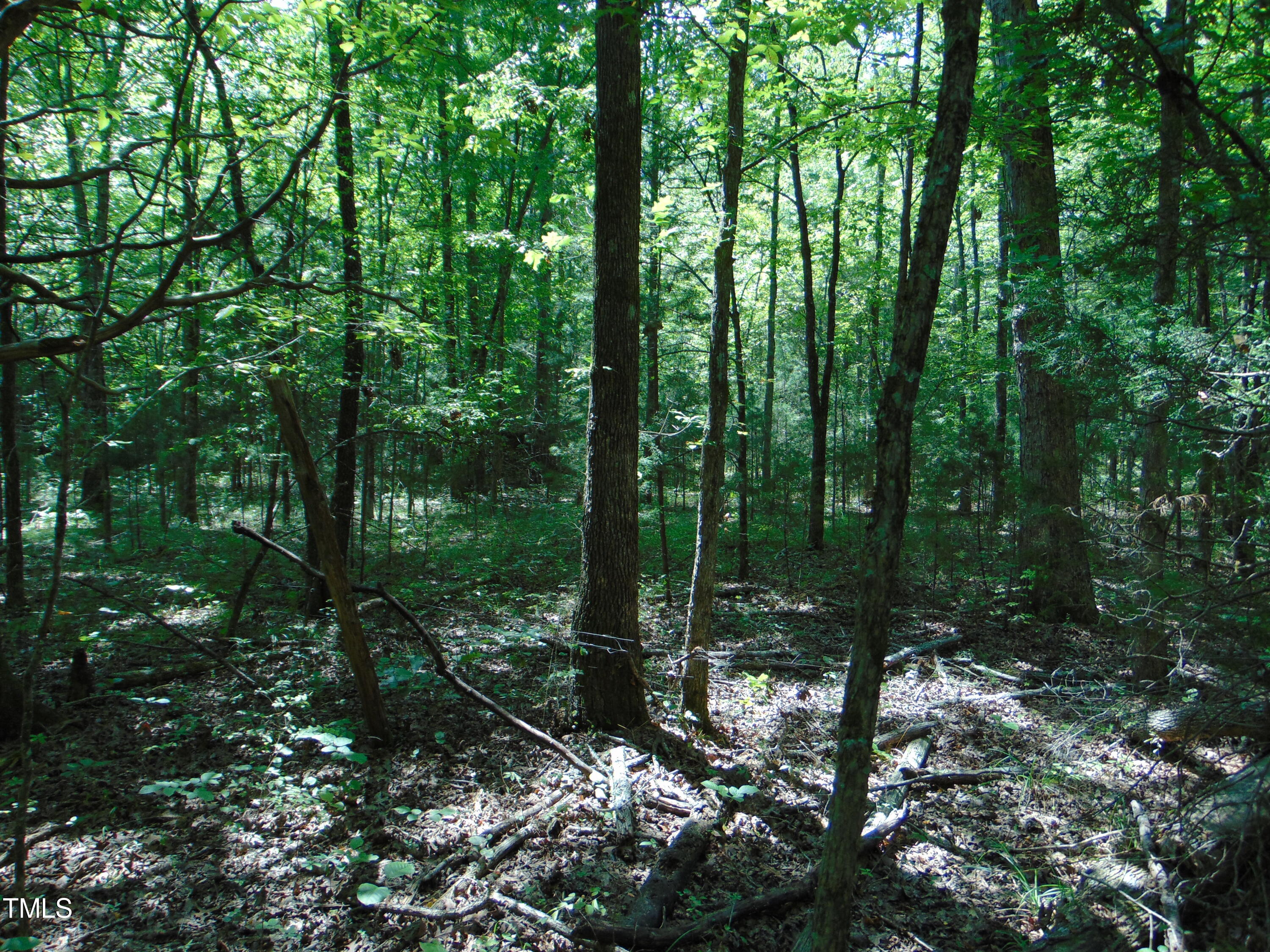 9171 Us Hwy 15 Property Photo 9