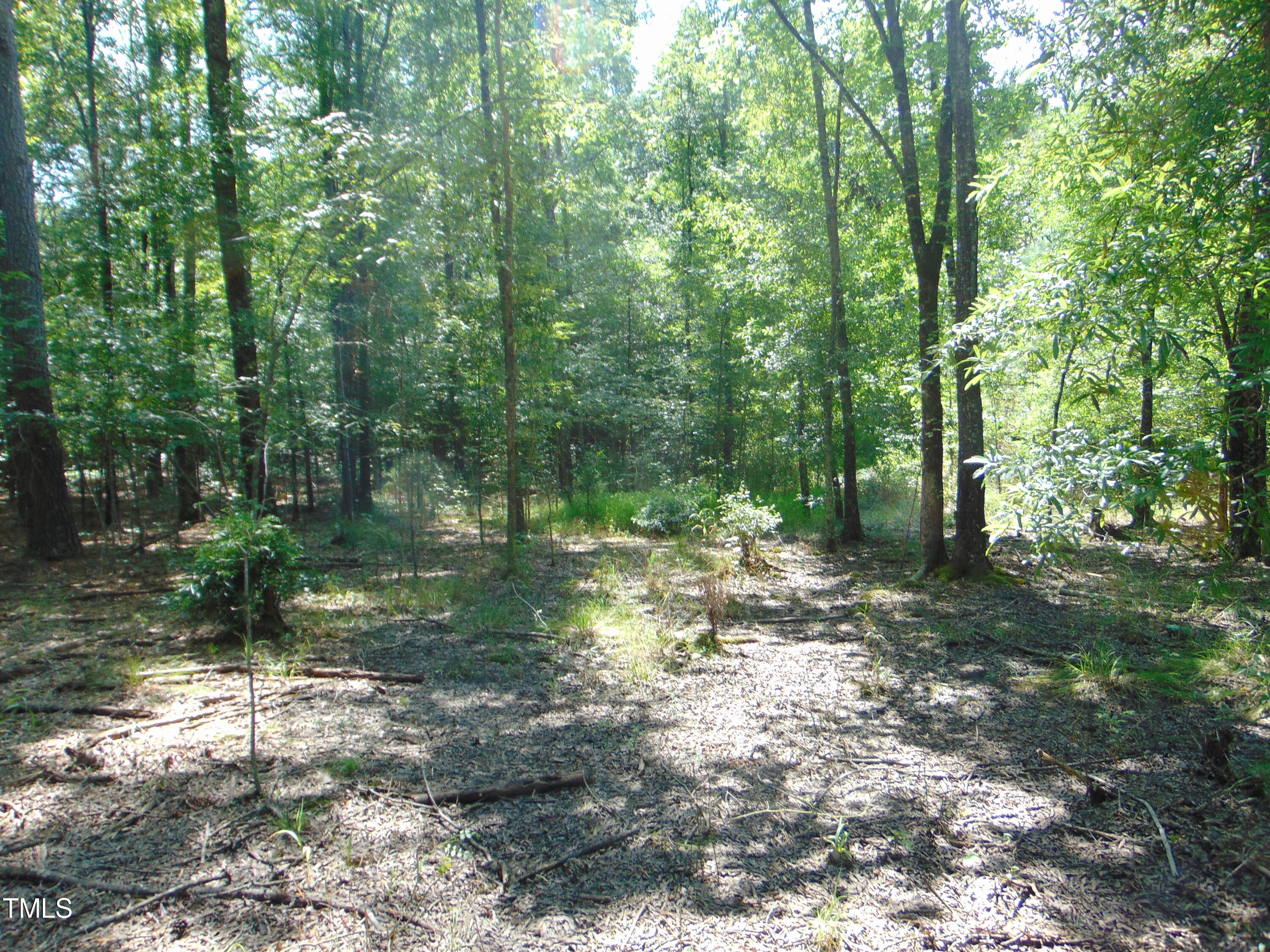 0 Us Hwy 15 Property Photo 11