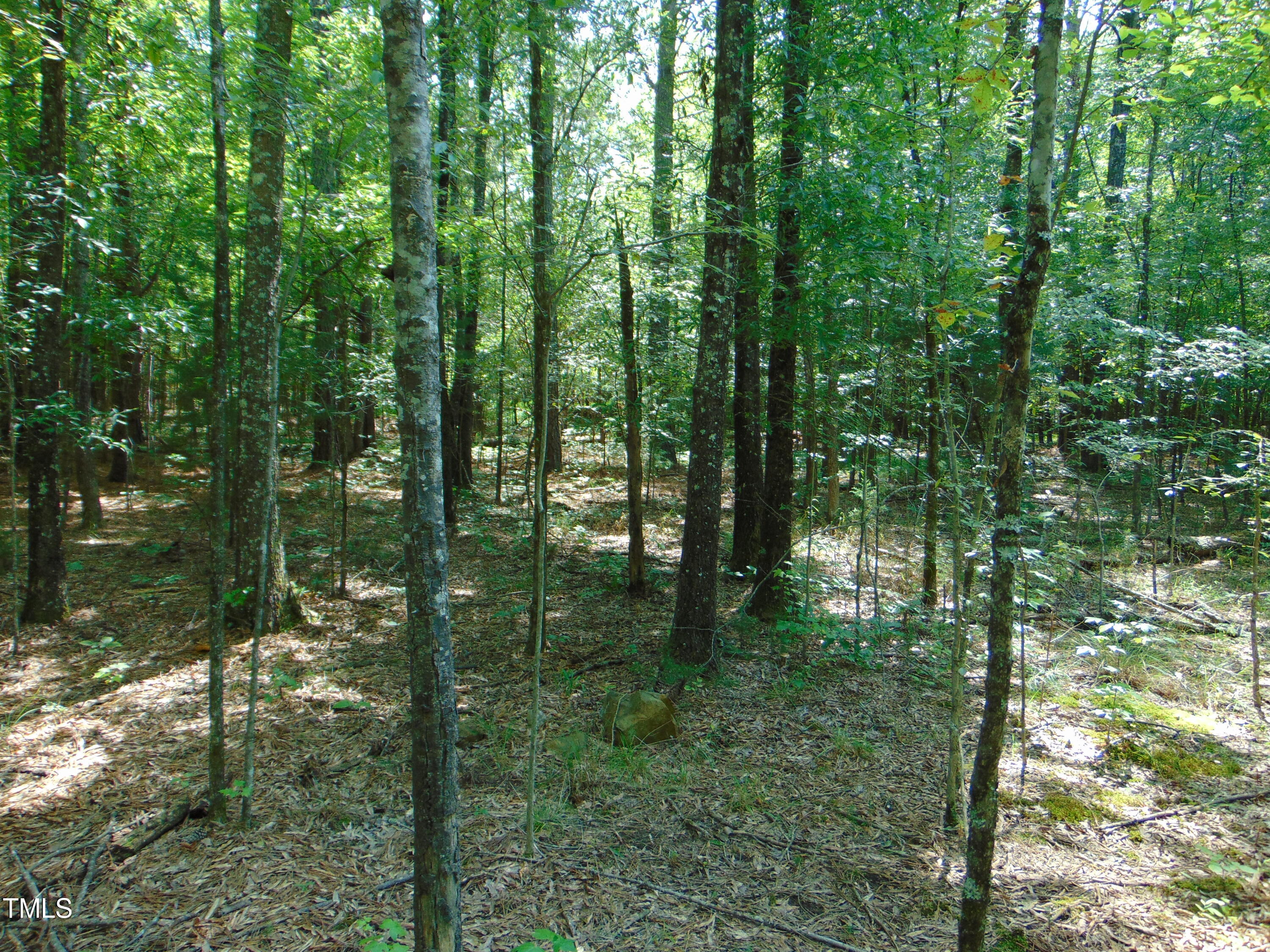 0 Us Hwy 15 Property Photo 13