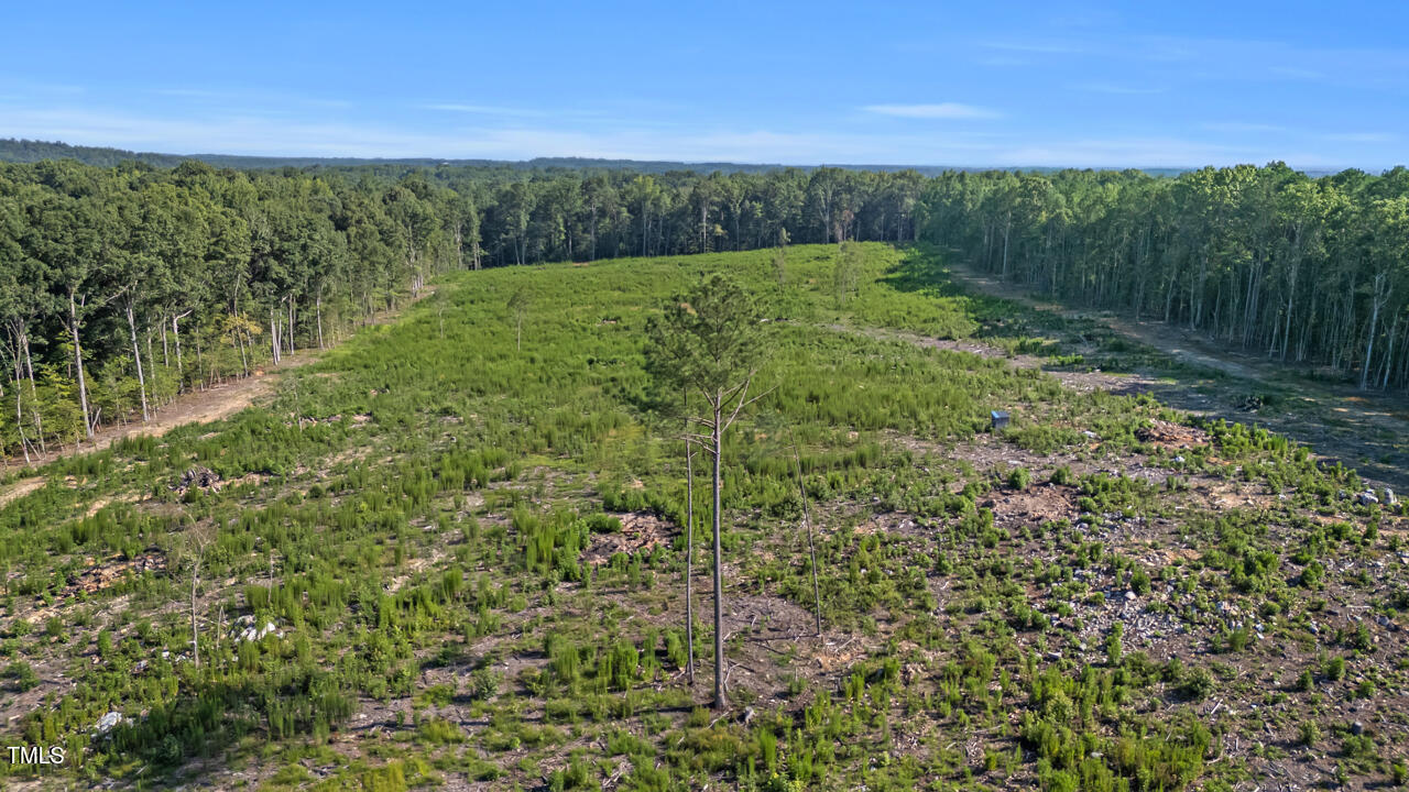 1474 Castle Rock Farm Road Property Photo 5