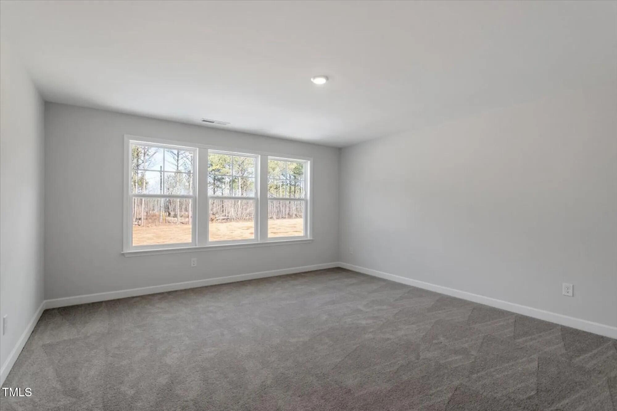 110 Bold Drive Property Photo 24