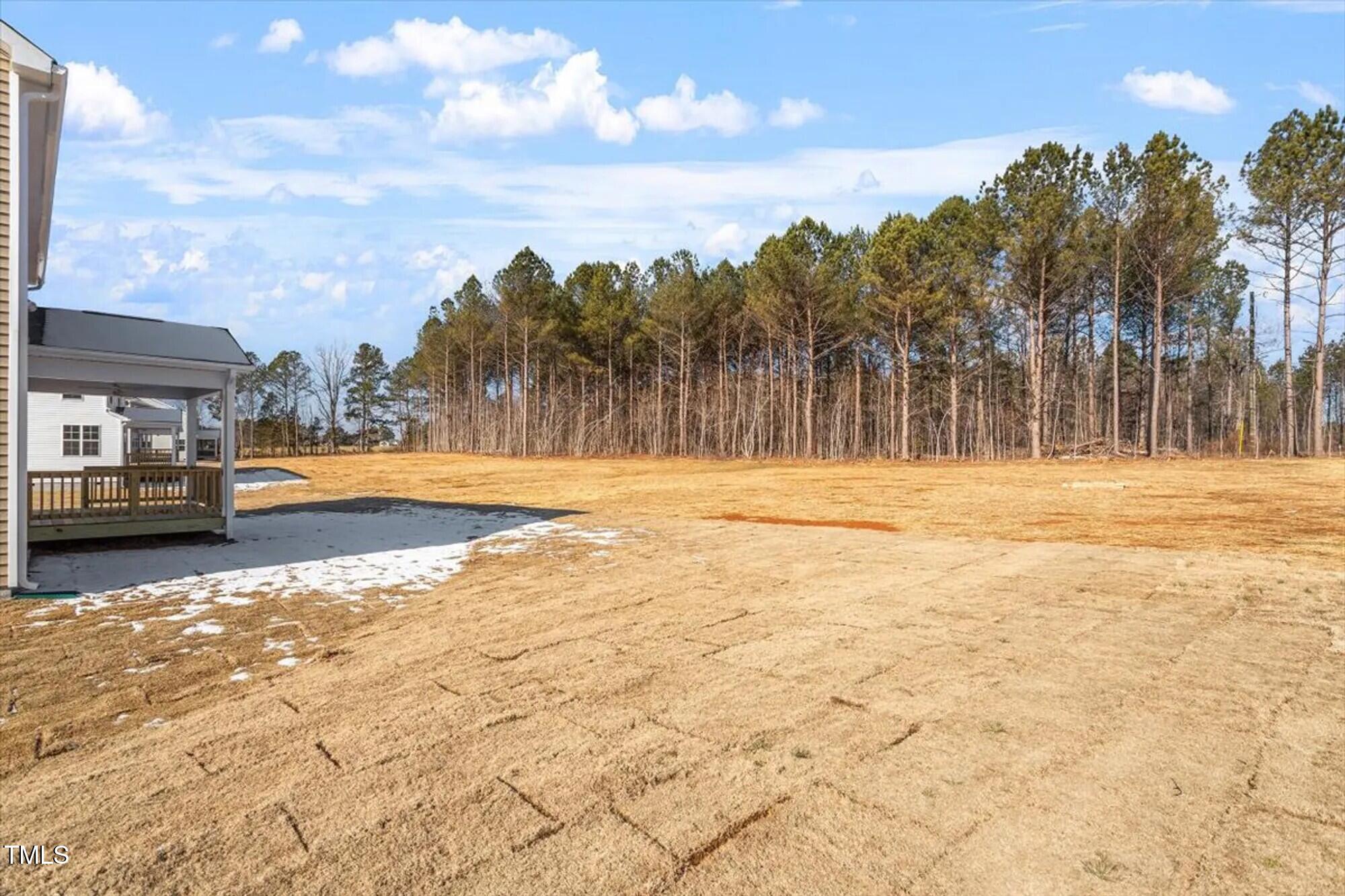110 Bold Drive Property Photo 27